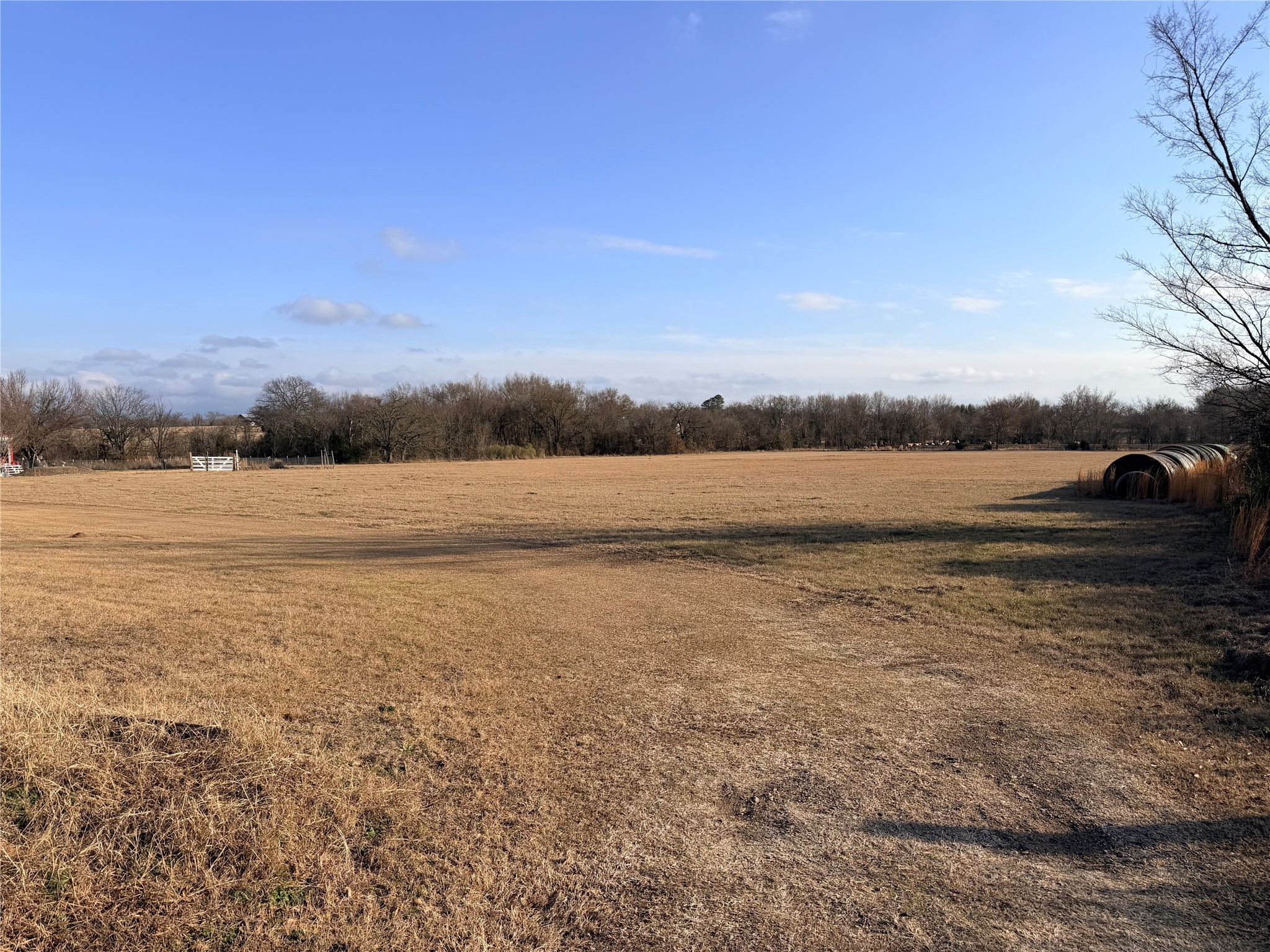 Tbd Fm 1256 Eustace TX 75124
