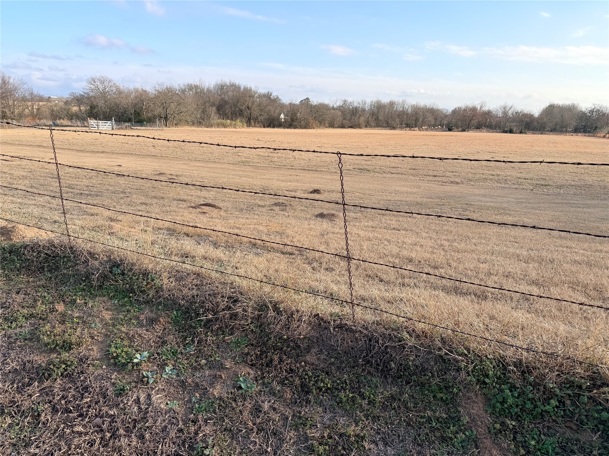Tbd Fm 1256 Eustace TX 75124