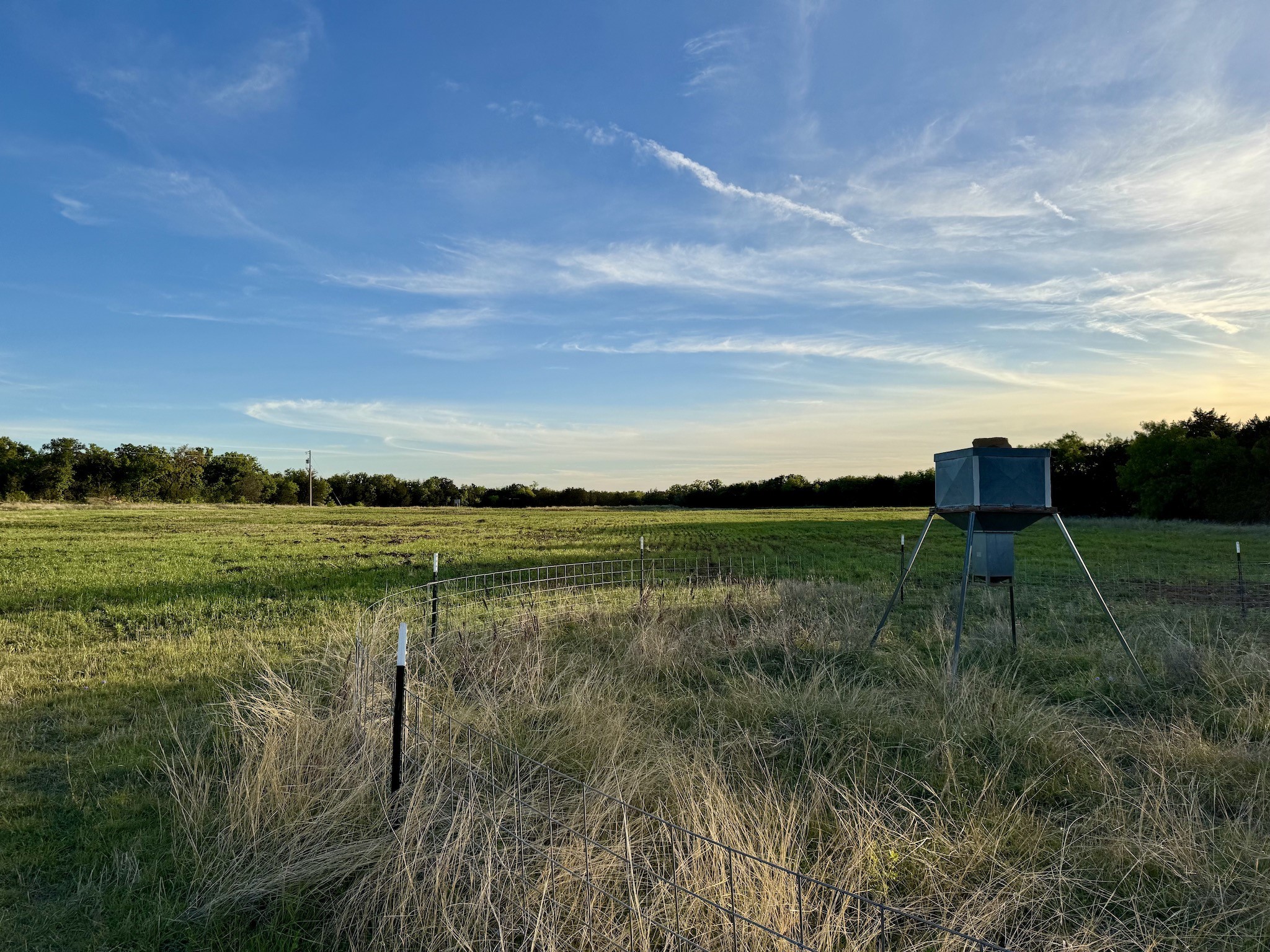 16811 County Road 107 Mingus TX 76463