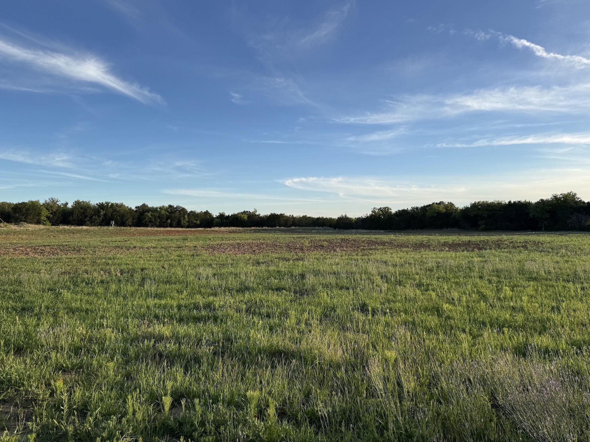 16811 County Road 107 Mingus TX 76463