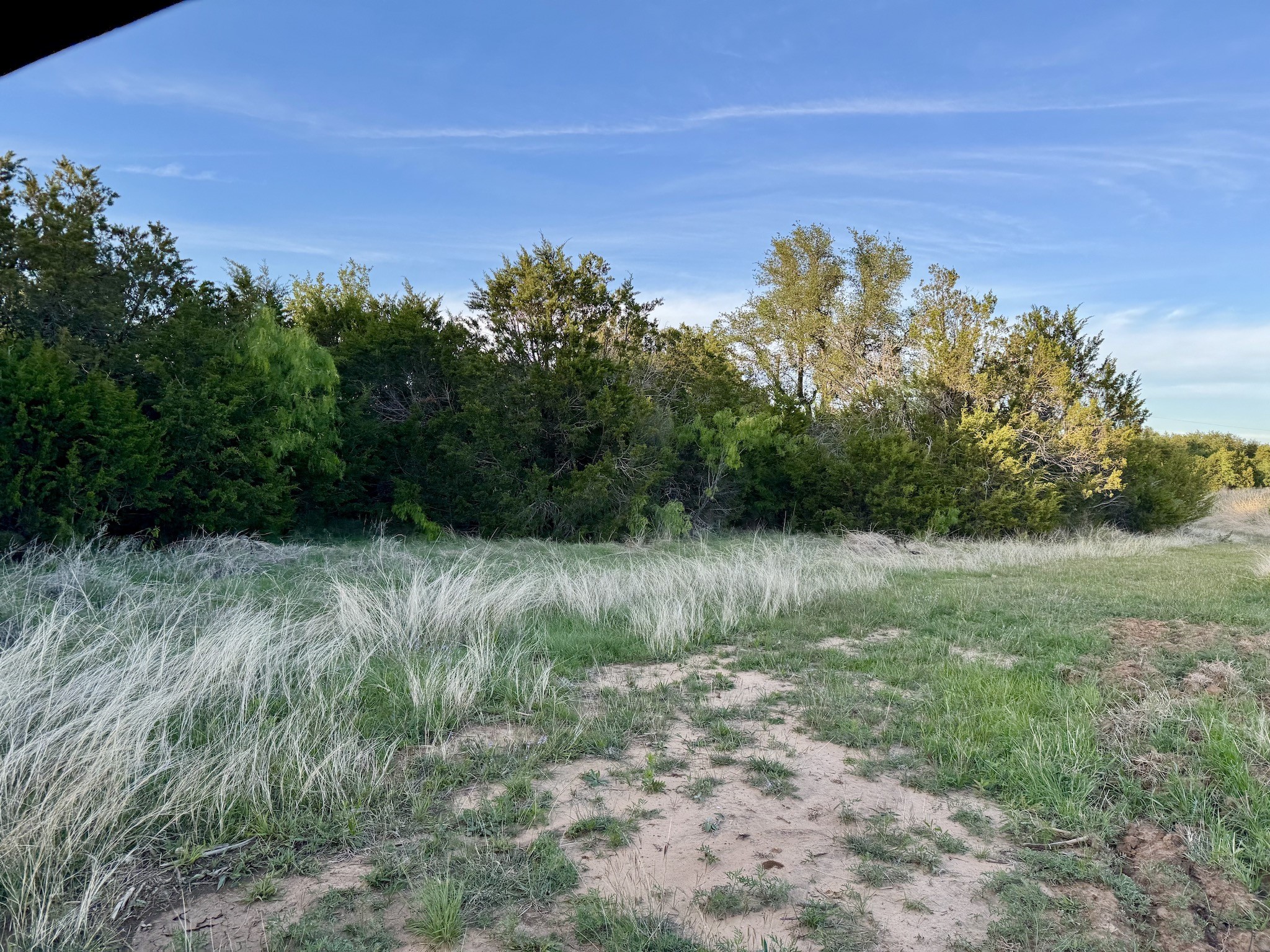 16811 County Road 107 Mingus TX 76463
