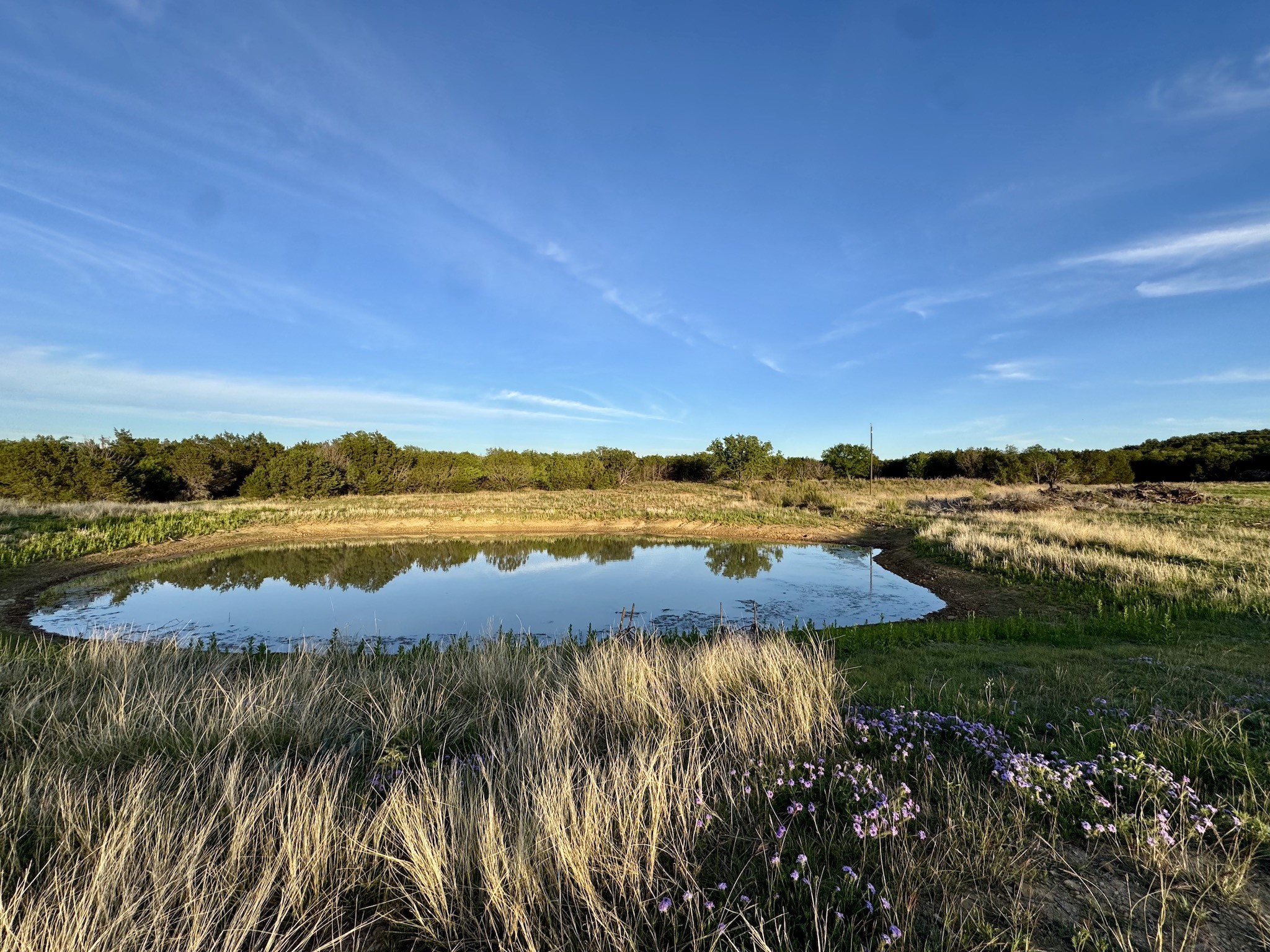 16811 County Road 107 Mingus TX 76463