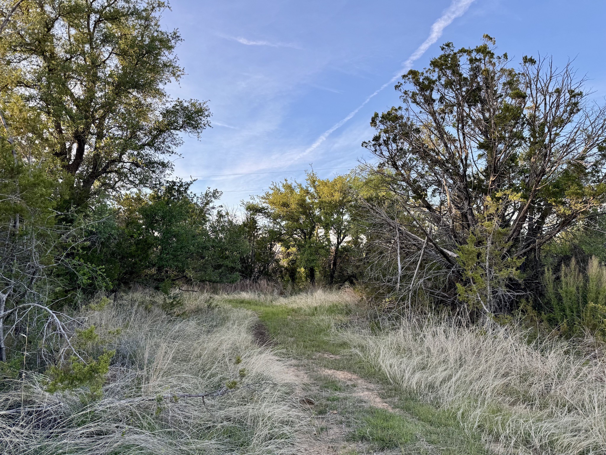 16811 County Road 107 Mingus TX 76463