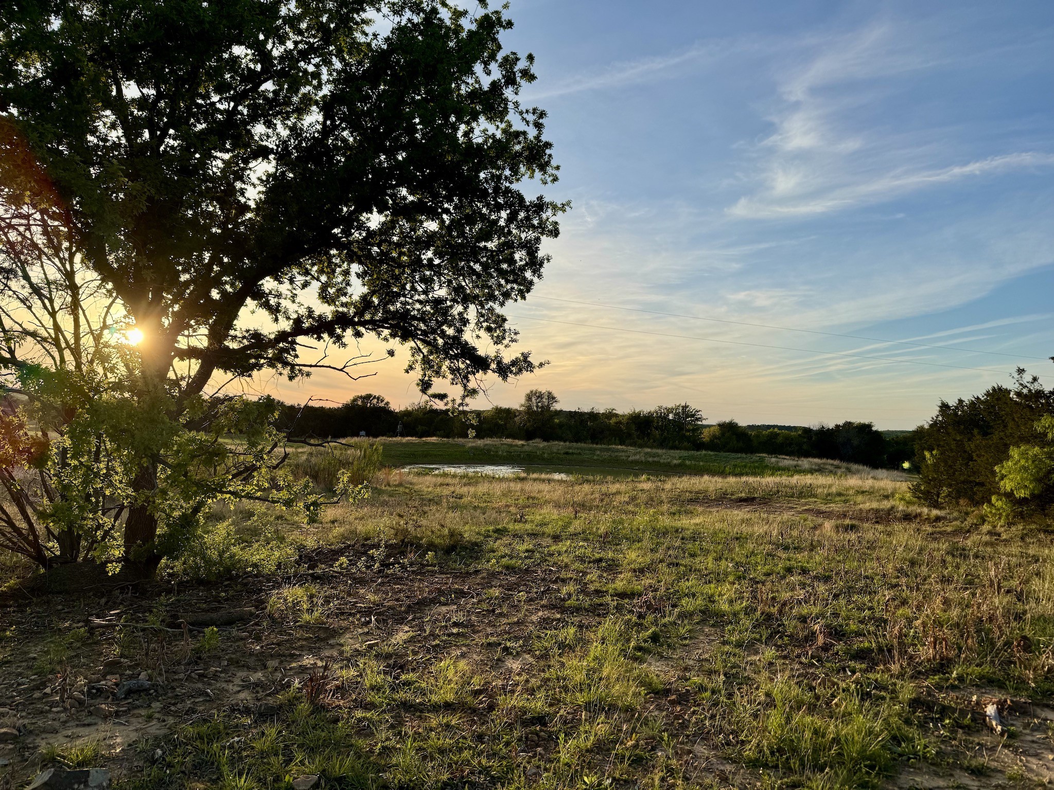 16811 County Road 107 Mingus TX 76463