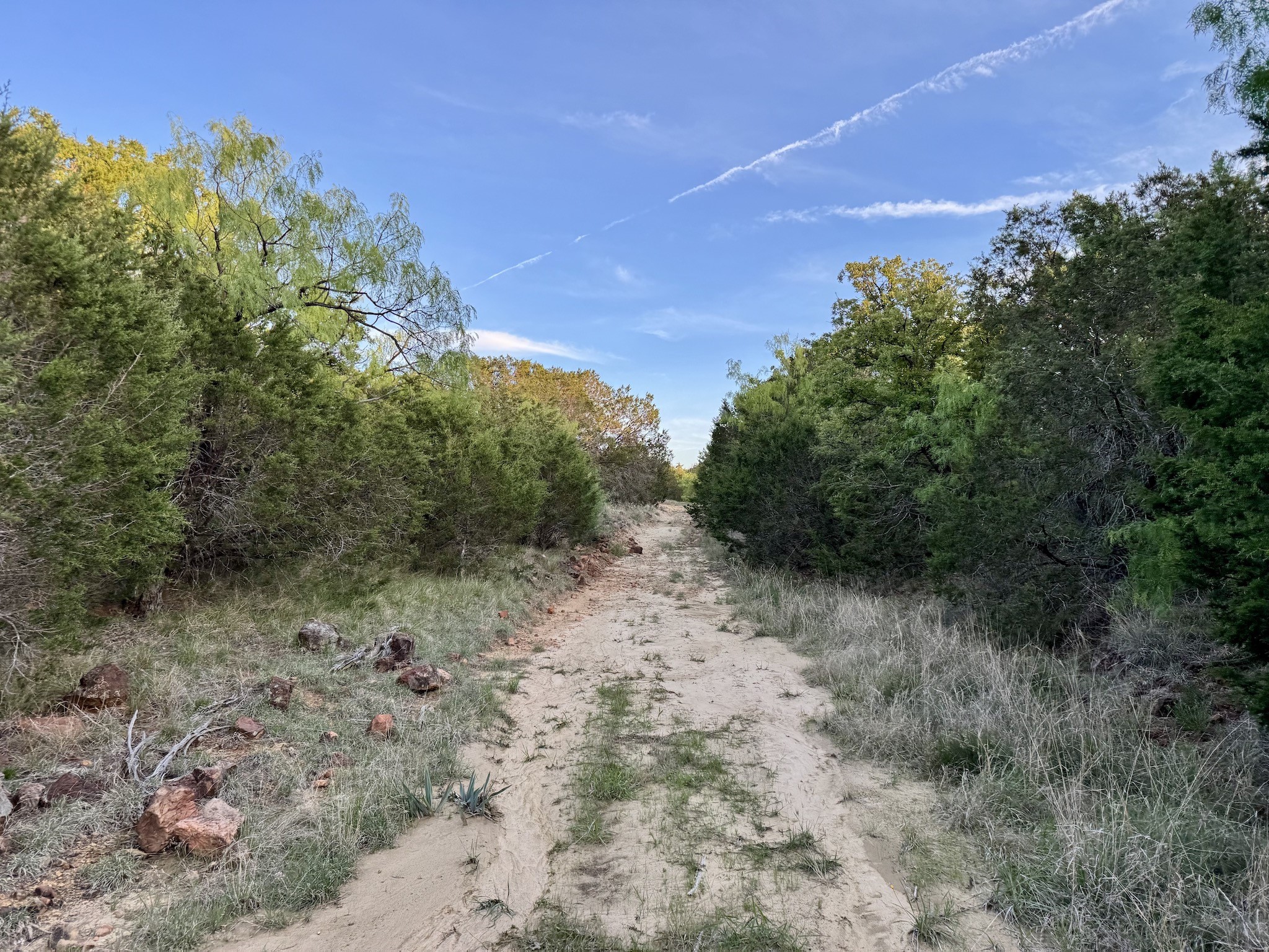 16811 County Road 107 Mingus TX 76463