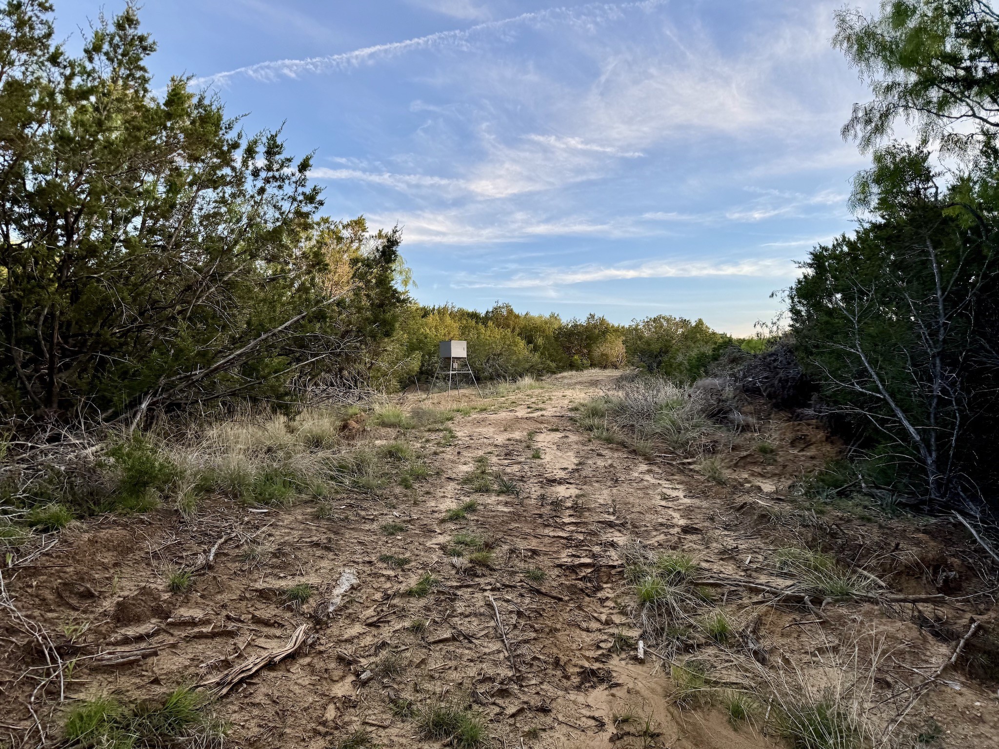 16811 County Road 107 Mingus TX 76463
