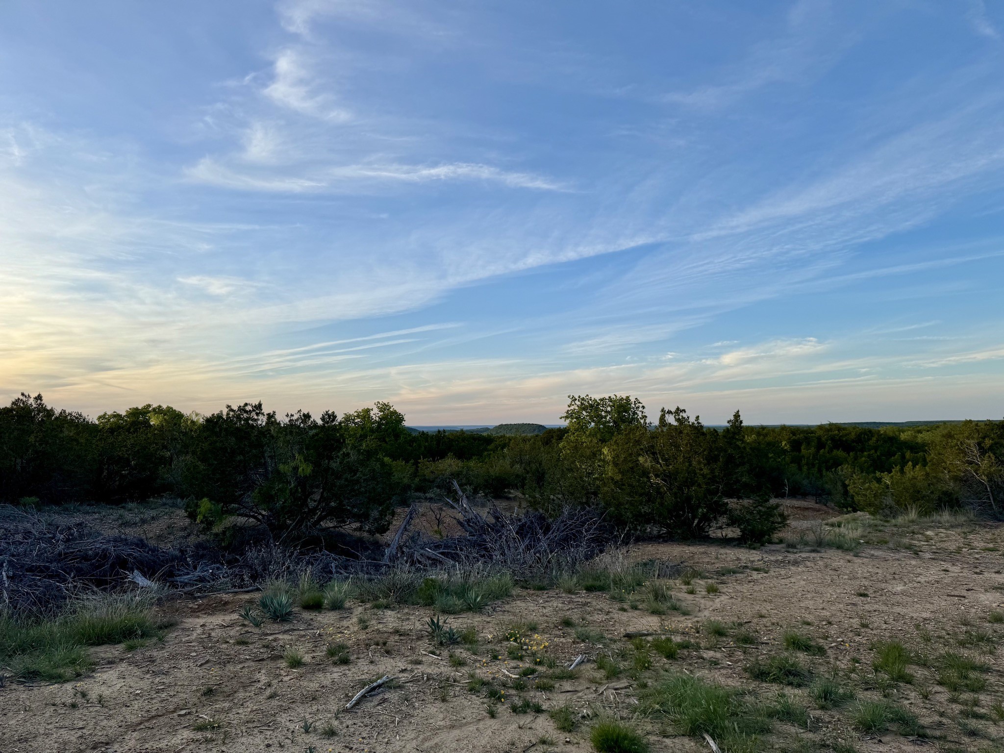 16811 County Road 107 Mingus TX 76463