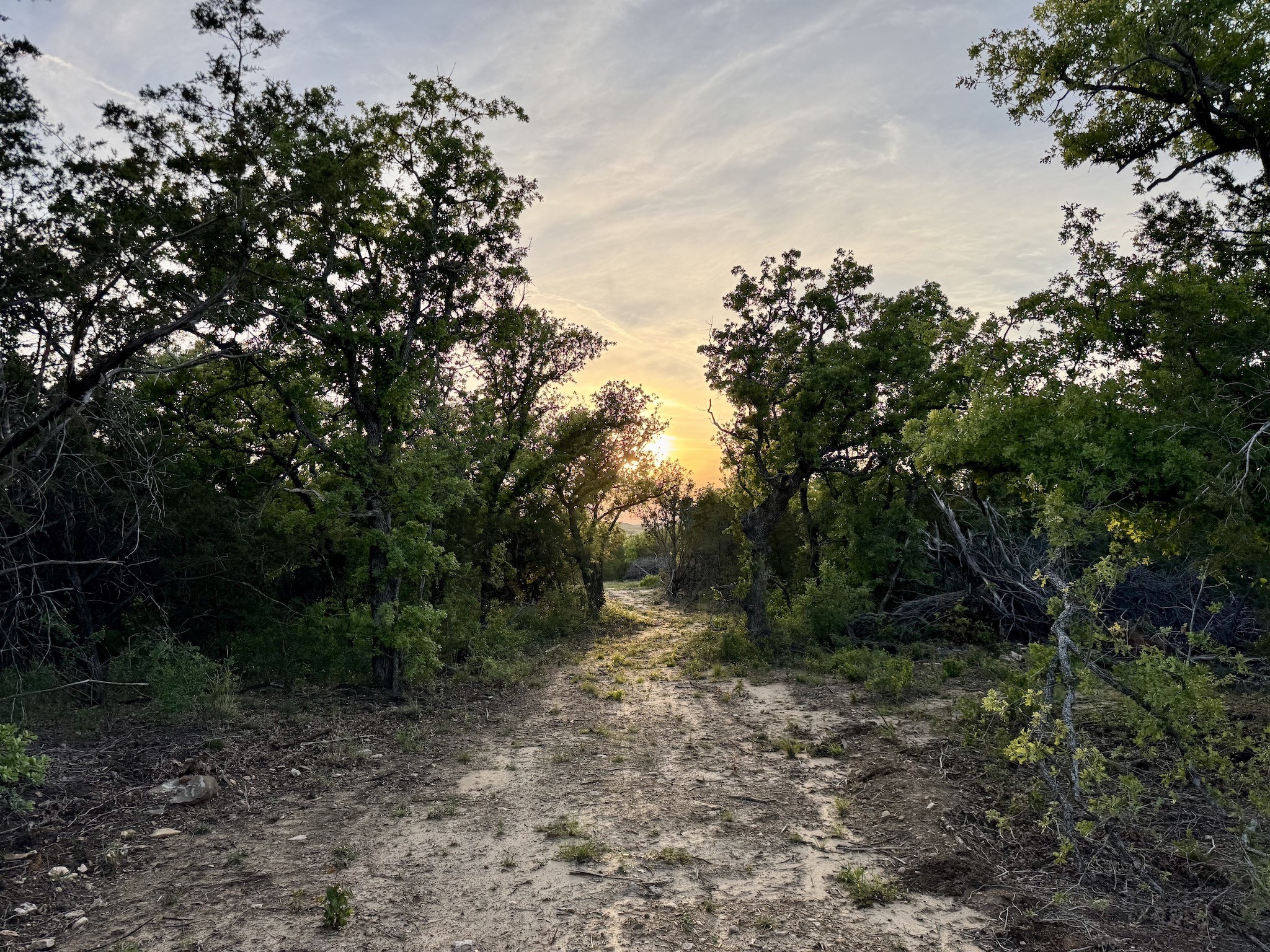 16811 County Road 107 Mingus TX 76463