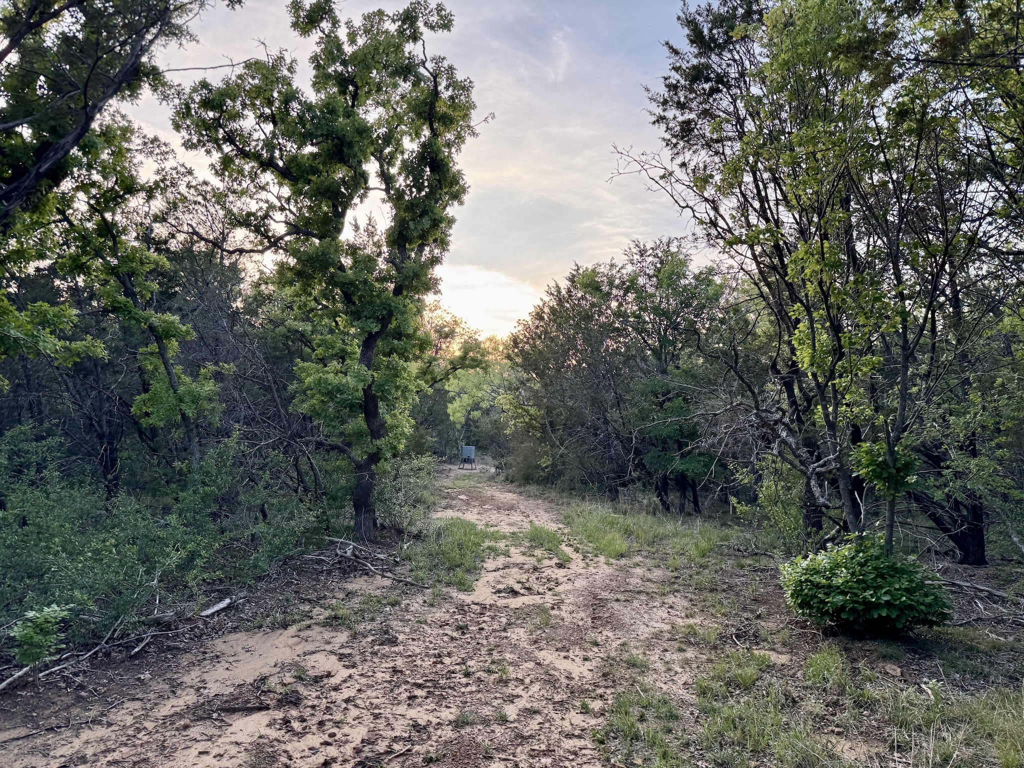 16811 County Road 107 Mingus TX 76463