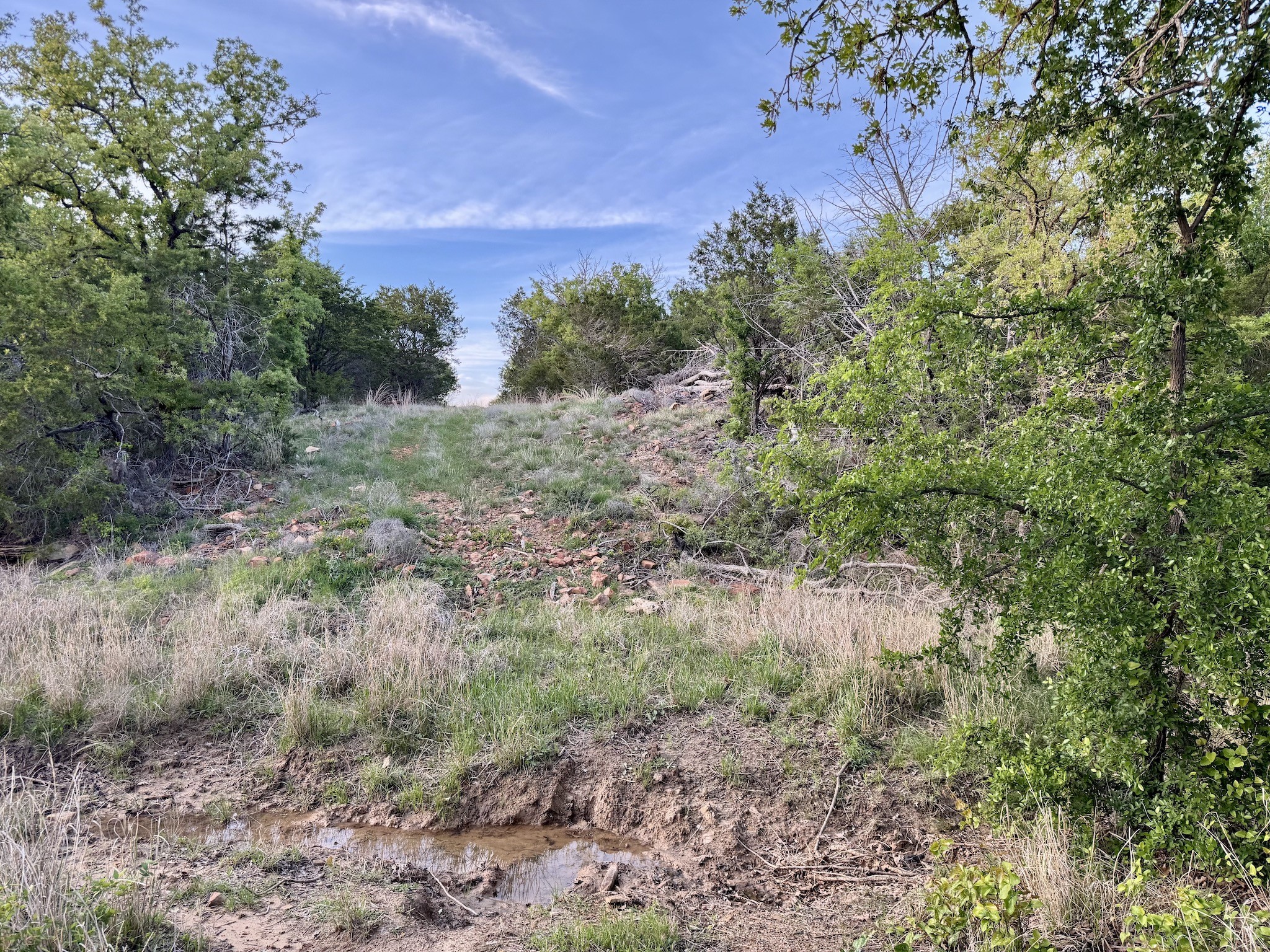16811 County Road 107 Mingus TX 76463