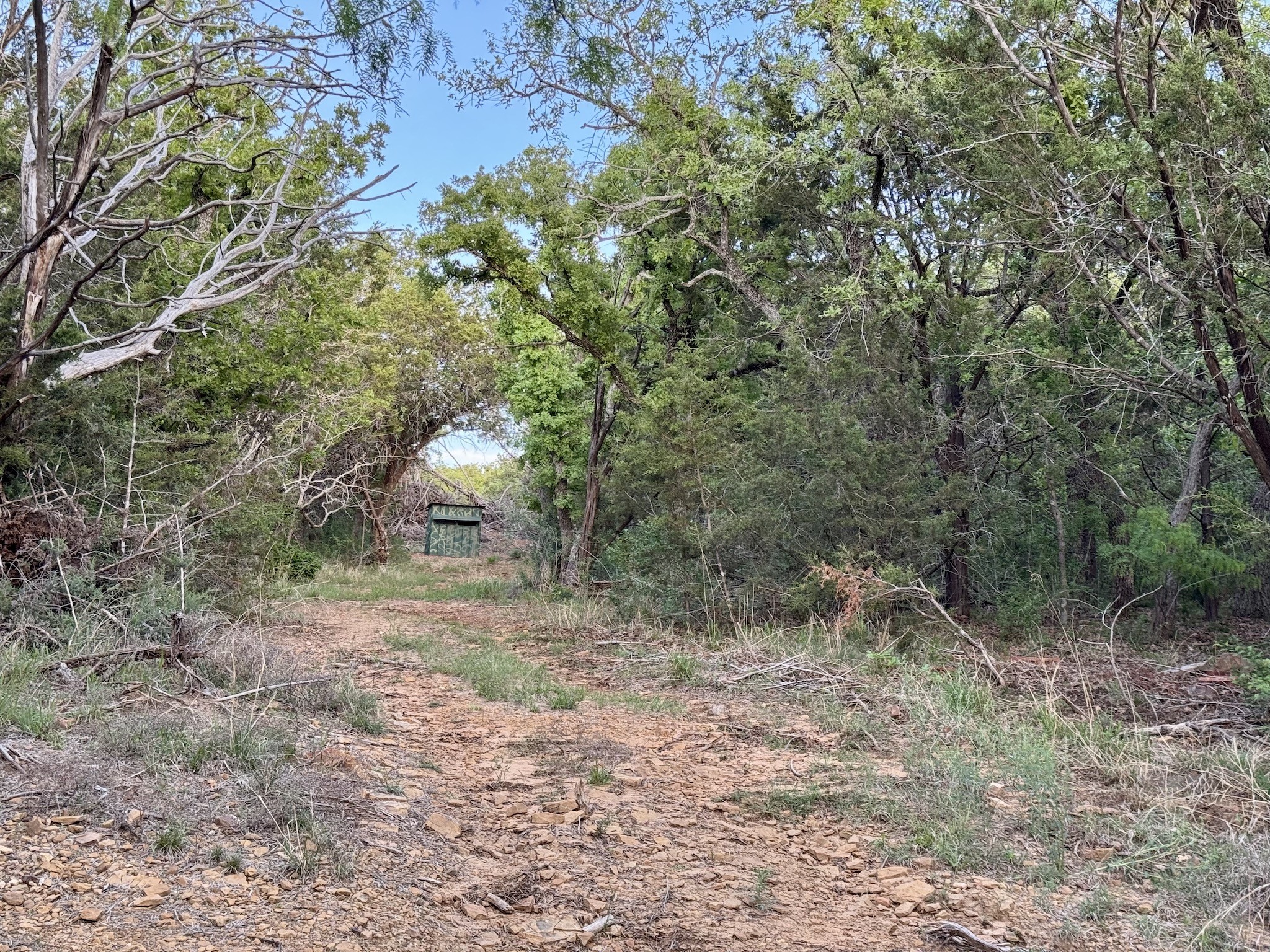 16811 County Road 107 Mingus TX 76463