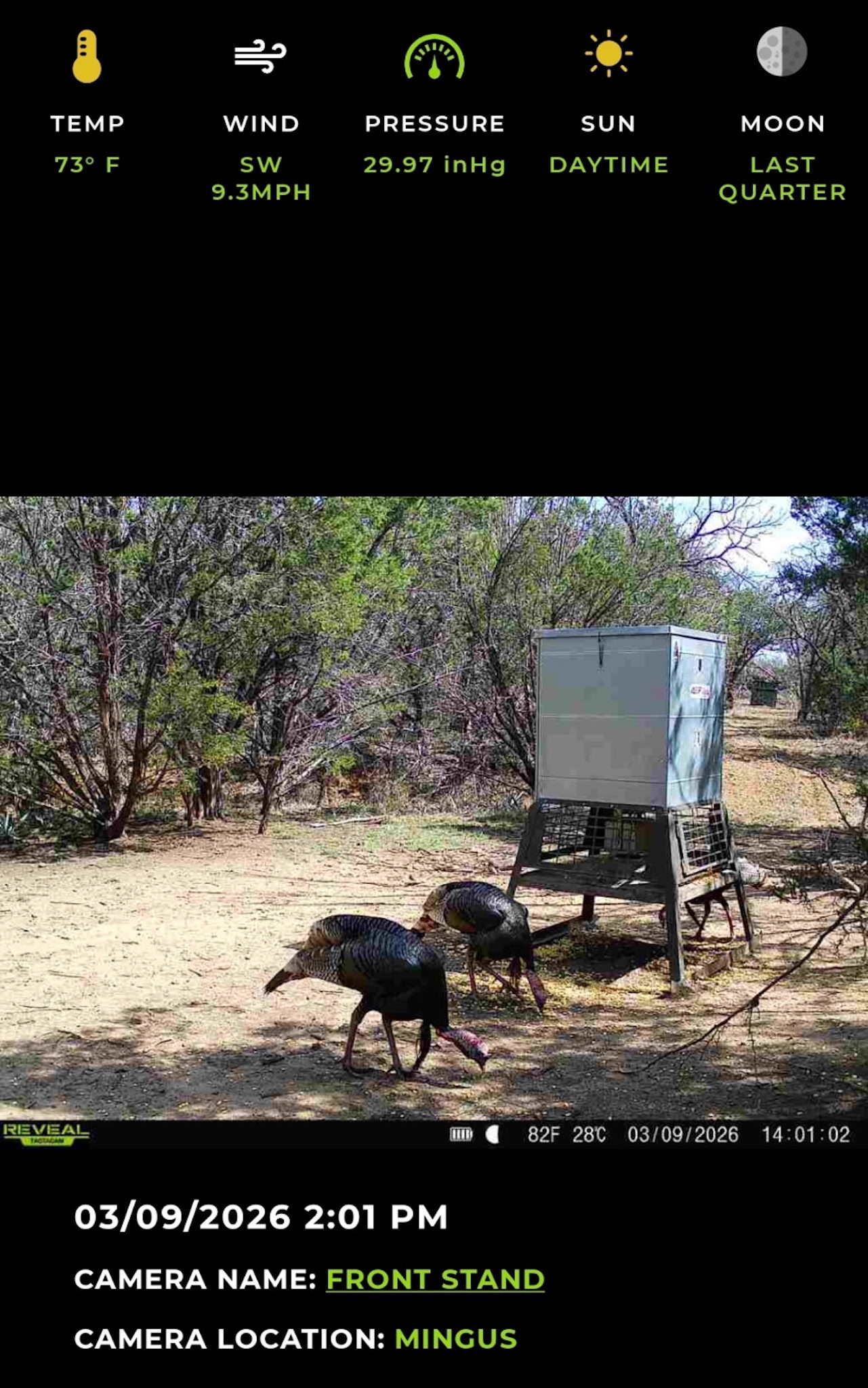 16811 County Road 107 Mingus TX 76463