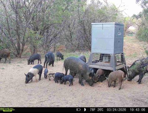 16811 County Road 107 Mingus TX 76463