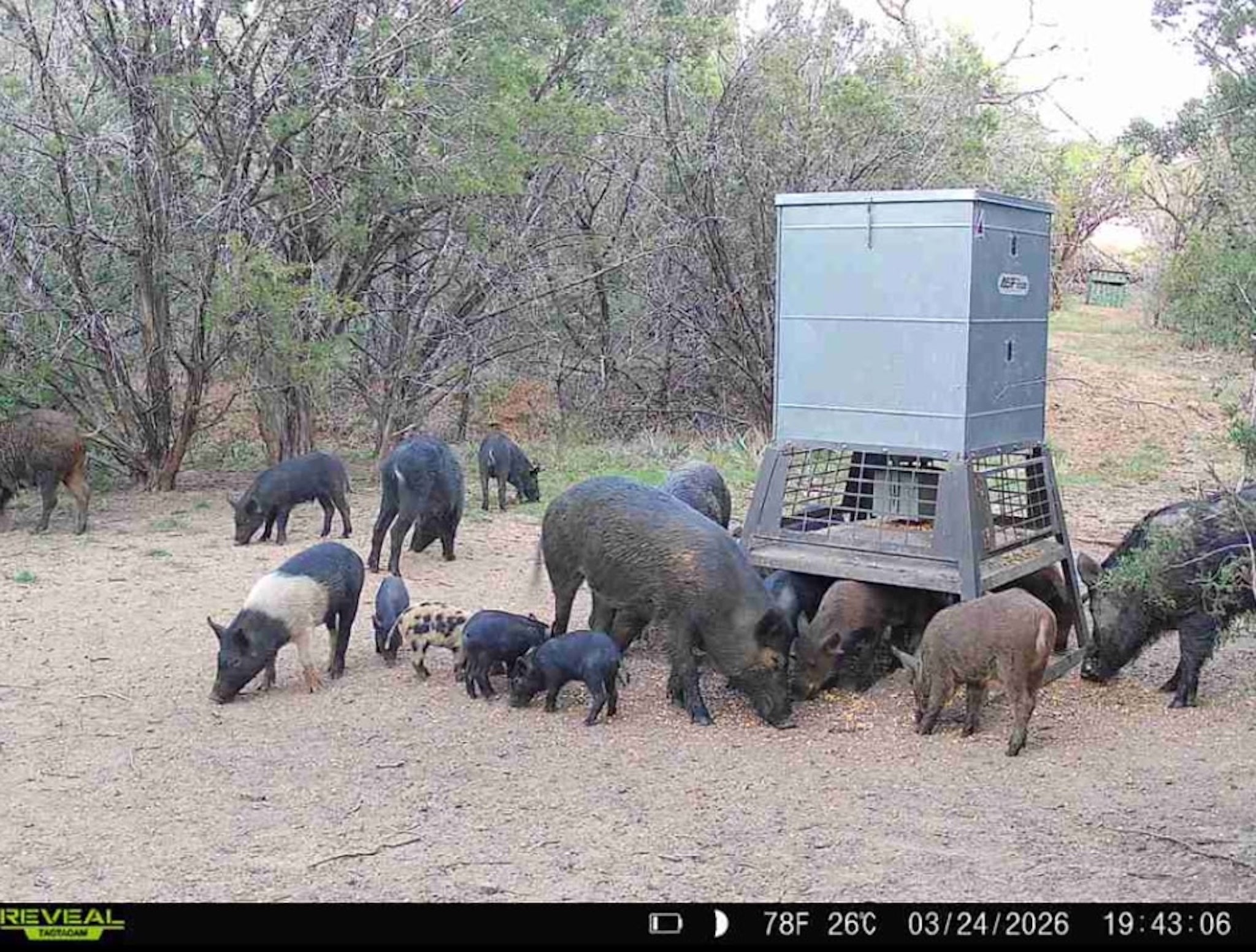 16811 County Road 107 Mingus TX 76463