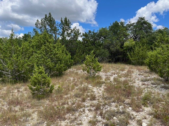 1396 Canyon Trace Canyon Lake TX 78133