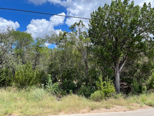 1396 Canyon Trace Canyon Lake TX 78133