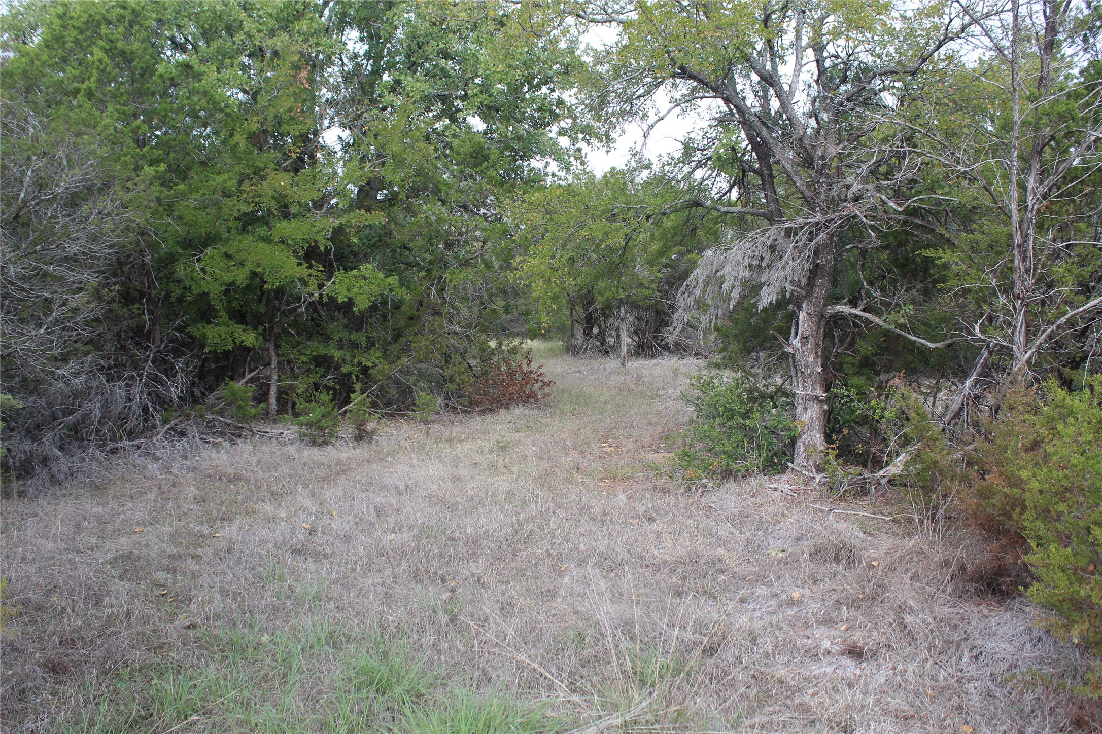 975 N. Lakeview Drive Palo Pinto TX 76484
