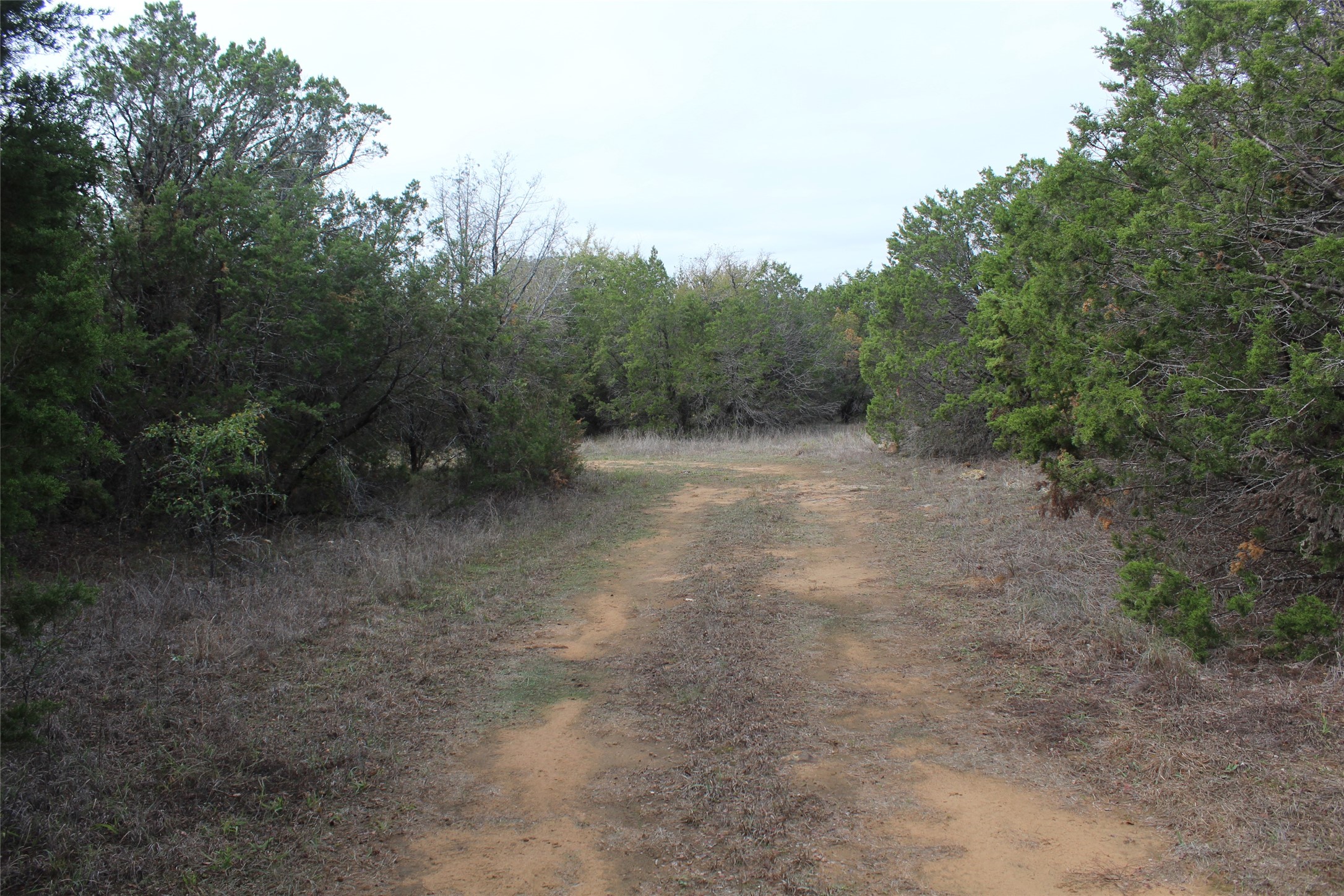 975 N. Lakeview Drive Palo Pinto TX 76484