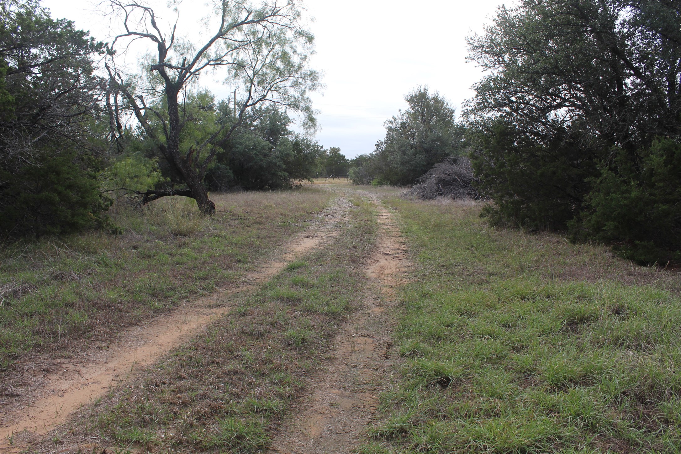 975 N. Lakeview Drive Palo Pinto TX 76484
