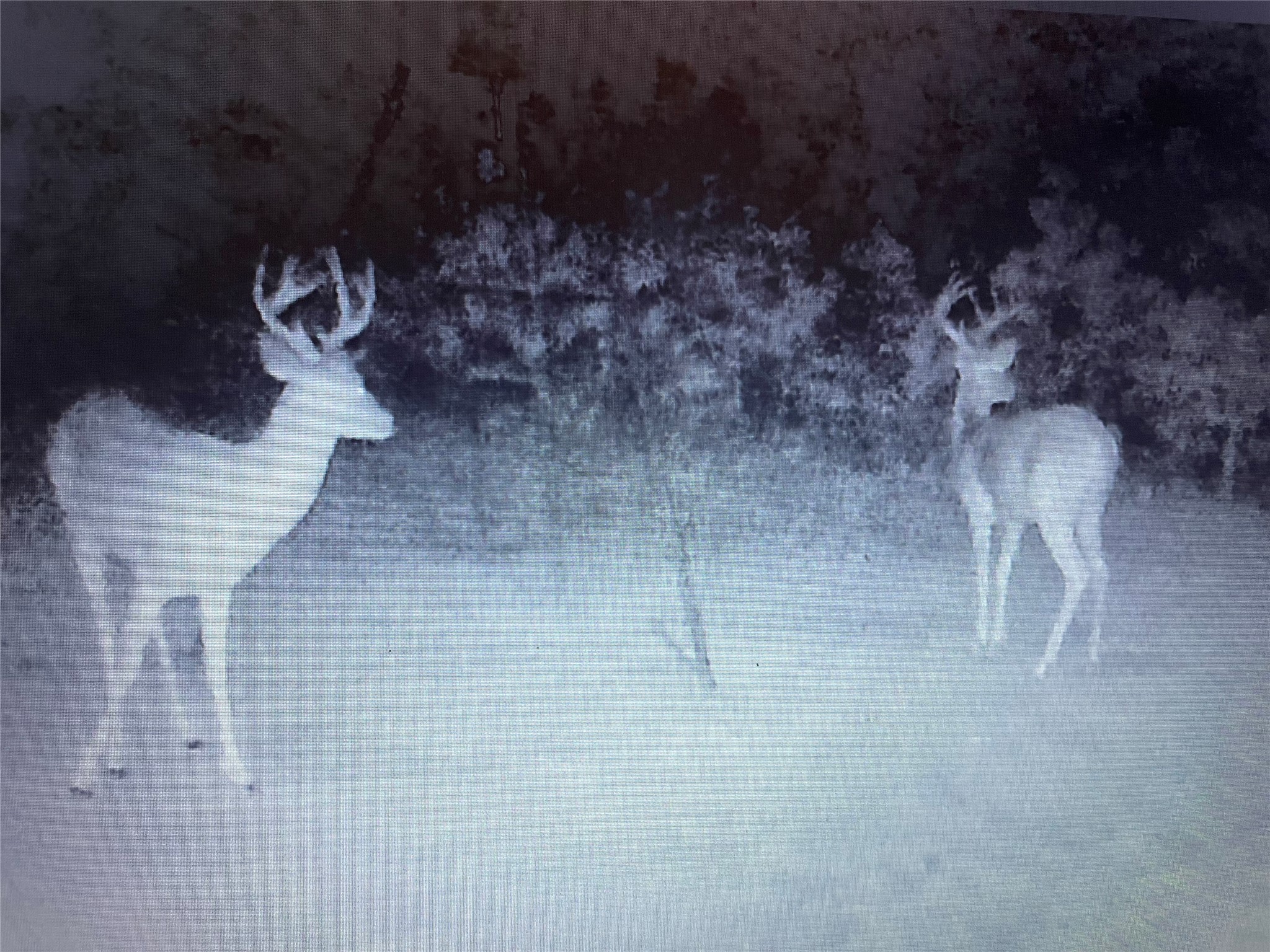 975 N. Lakeview Drive Palo Pinto TX 76484