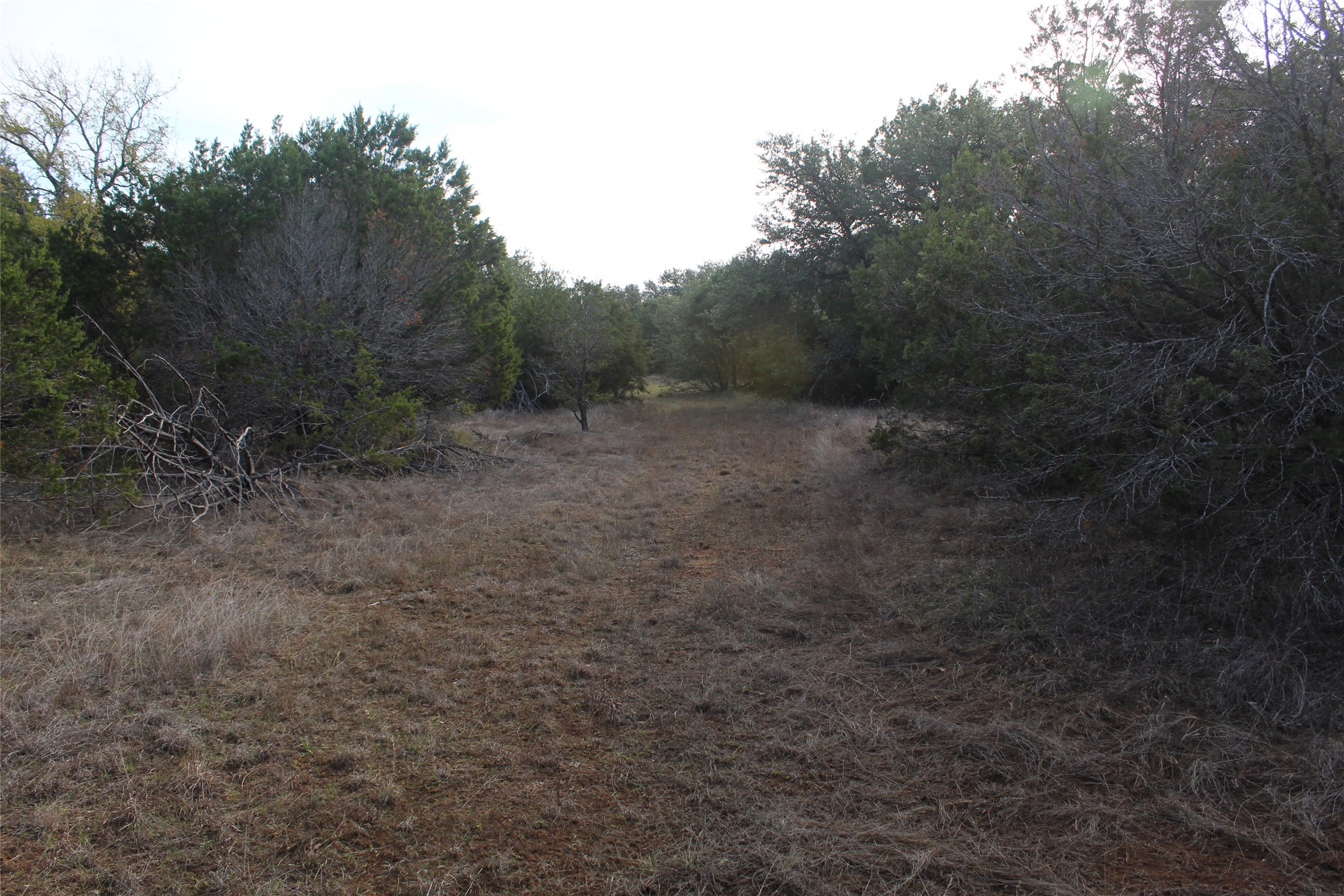 975 N. Lakeview Drive Palo Pinto TX 76484