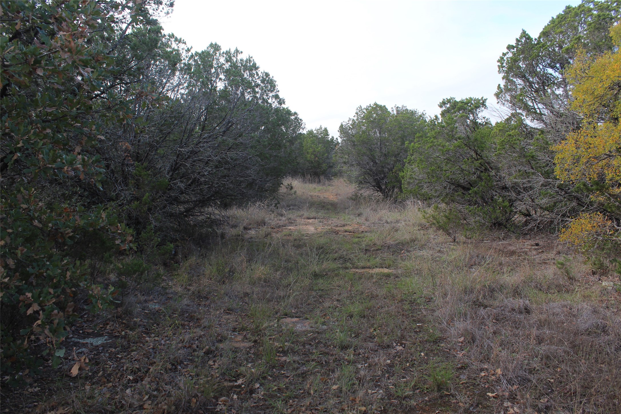 975 N. Lakeview Drive Palo Pinto TX 76484