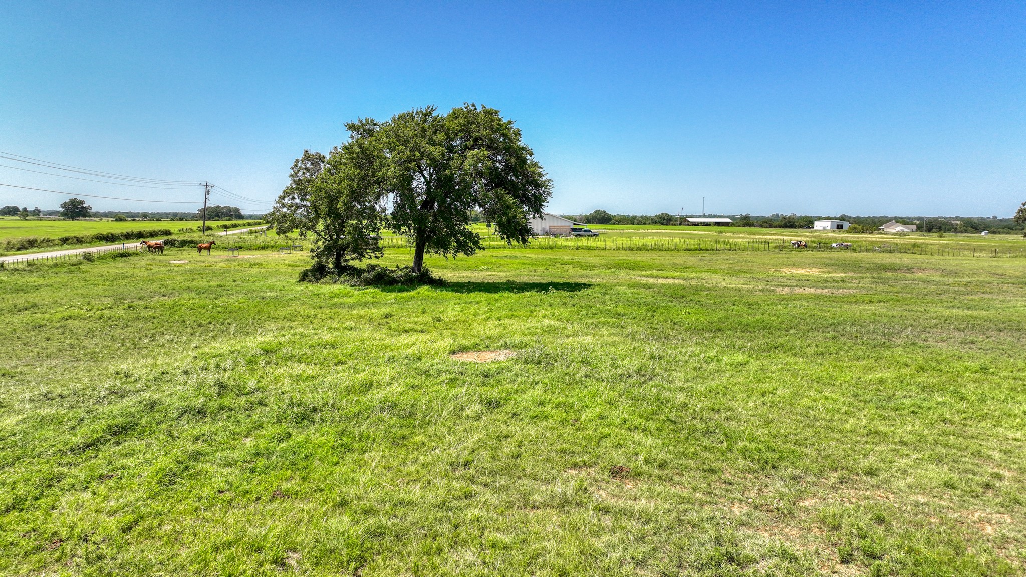 2701 Powell Cemetery Road Tolar TX 76476