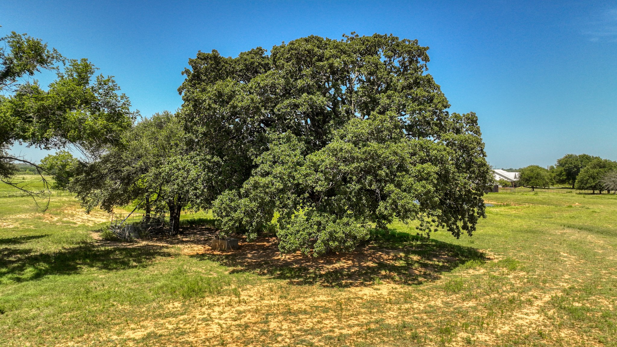 2701 Powell Cemetery Road Tolar TX 76476