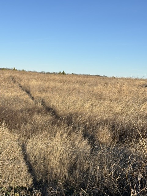 9999 Cr-699 Farmersville TX 75442