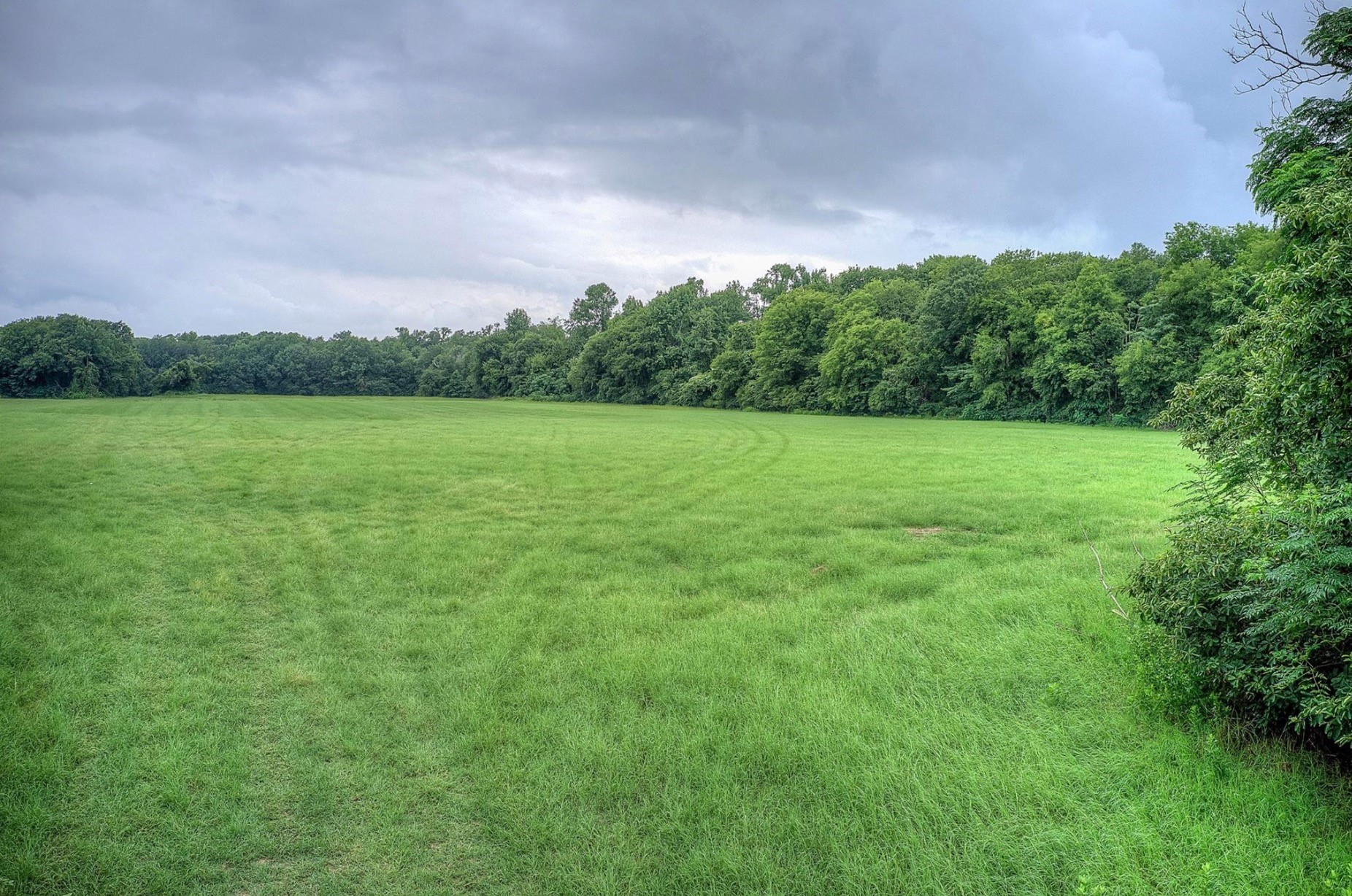 252 County Road 2431 Como TX 75431