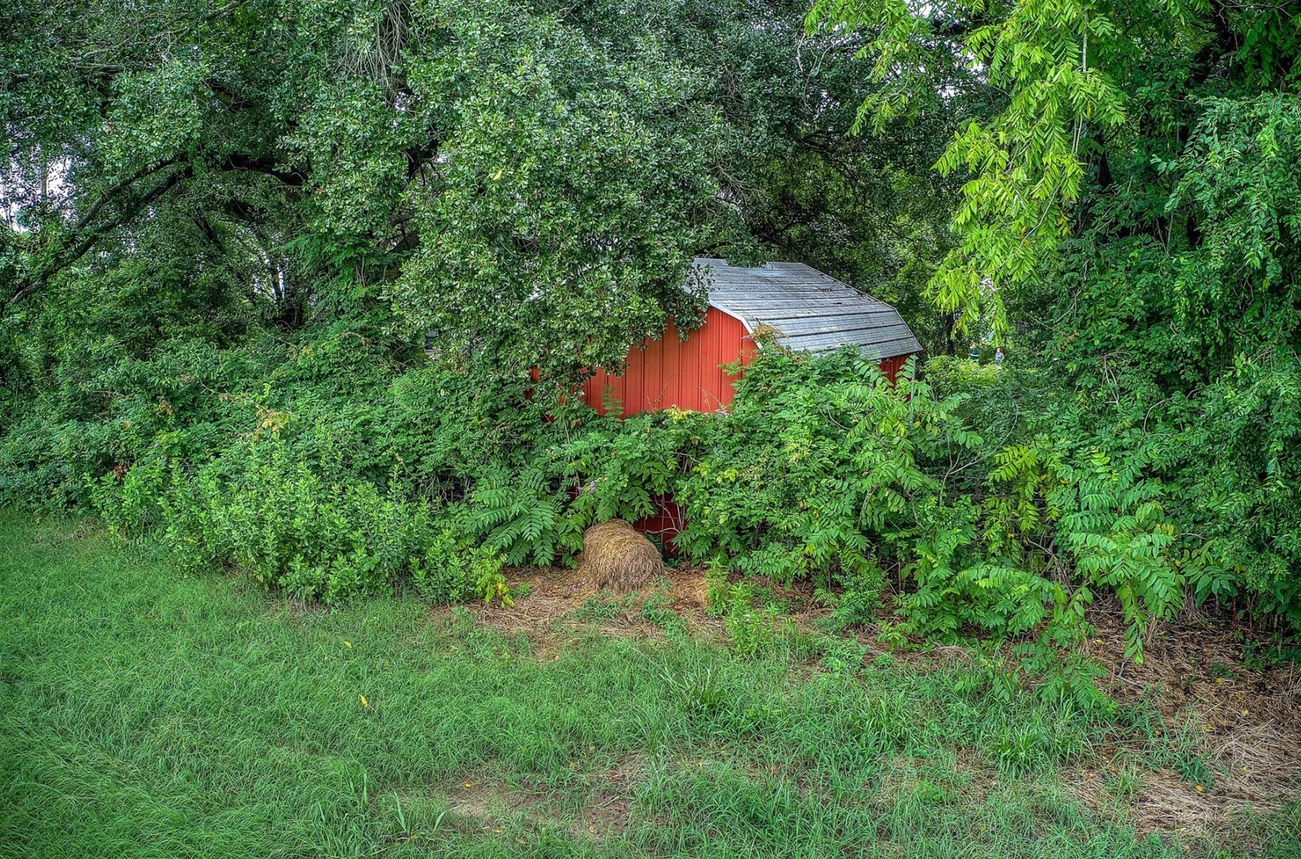 252 County Road 2431 Como TX 75431