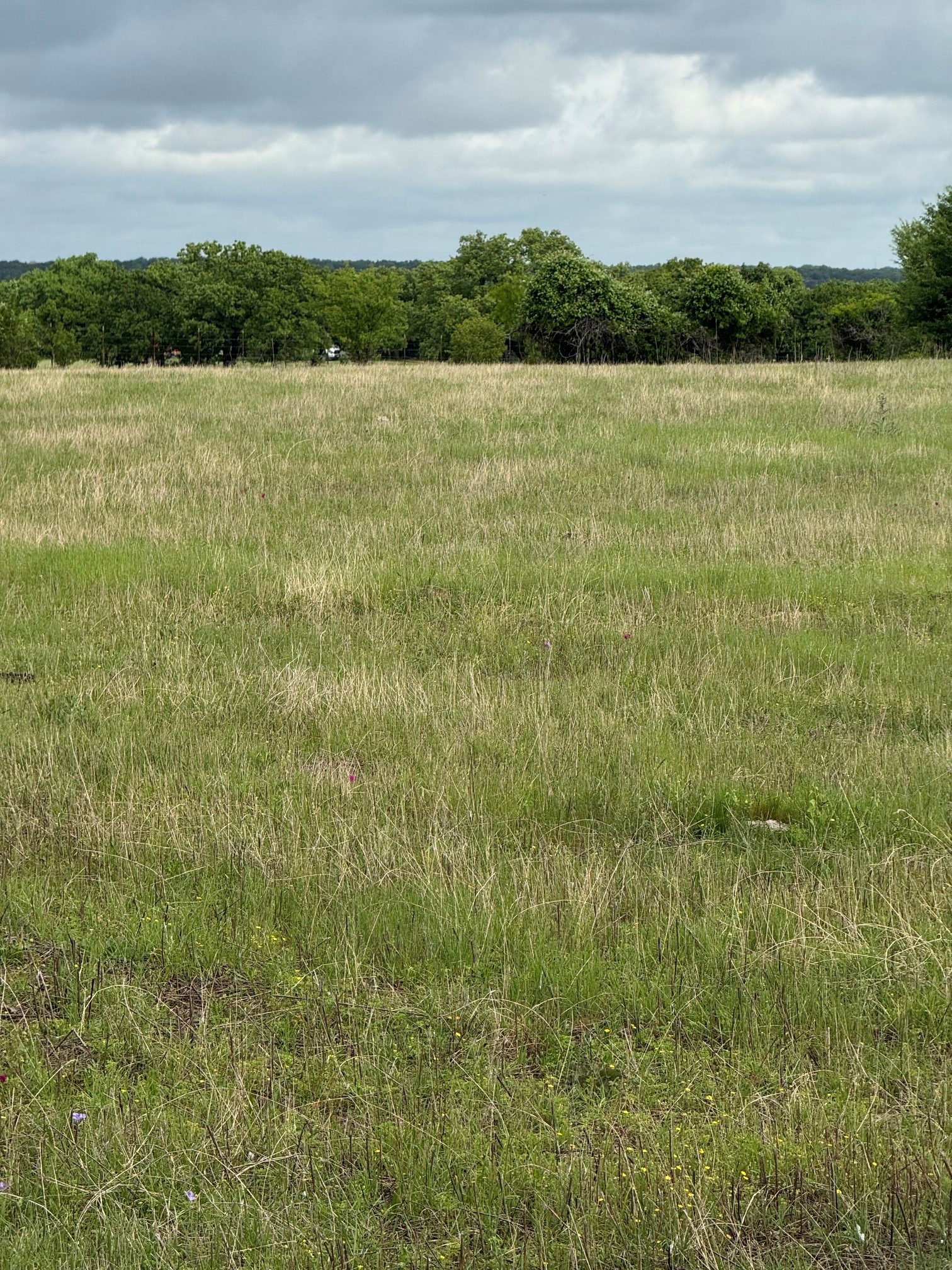 1438 Kite Road Mineral Wells TX 76067