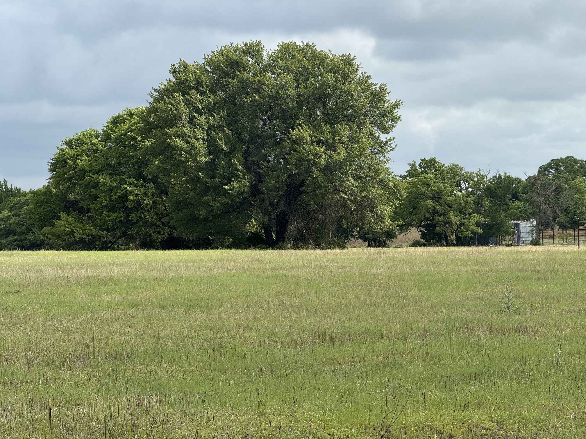 1438 Kite Road Mineral Wells TX 76067