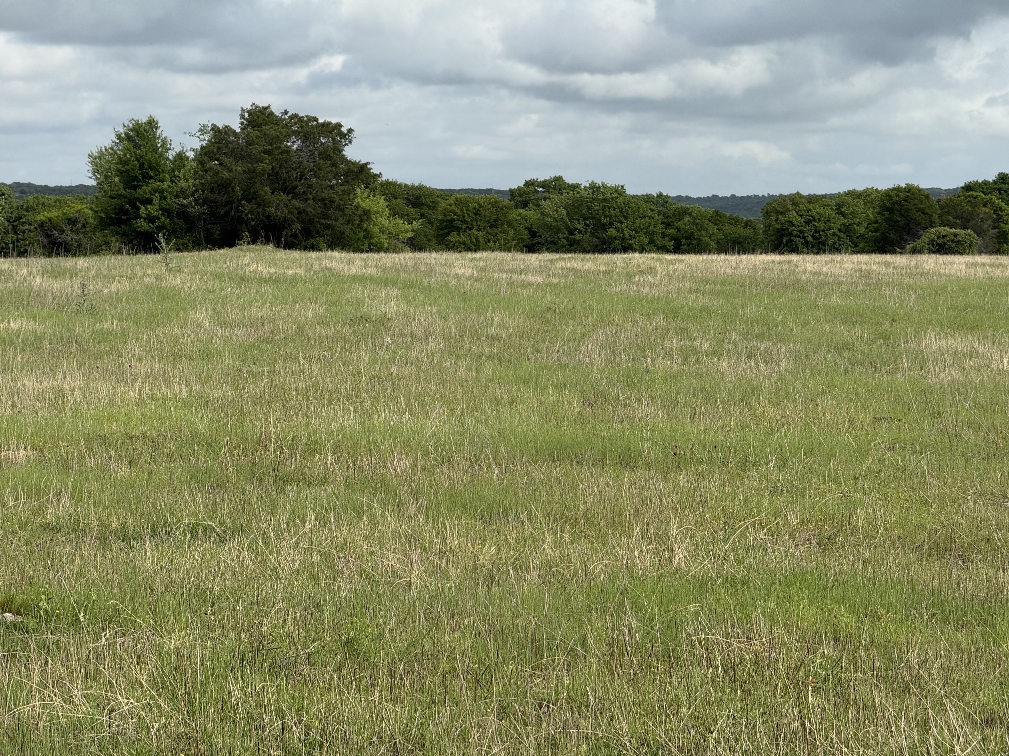 1438 Kite Road Mineral Wells TX 76067