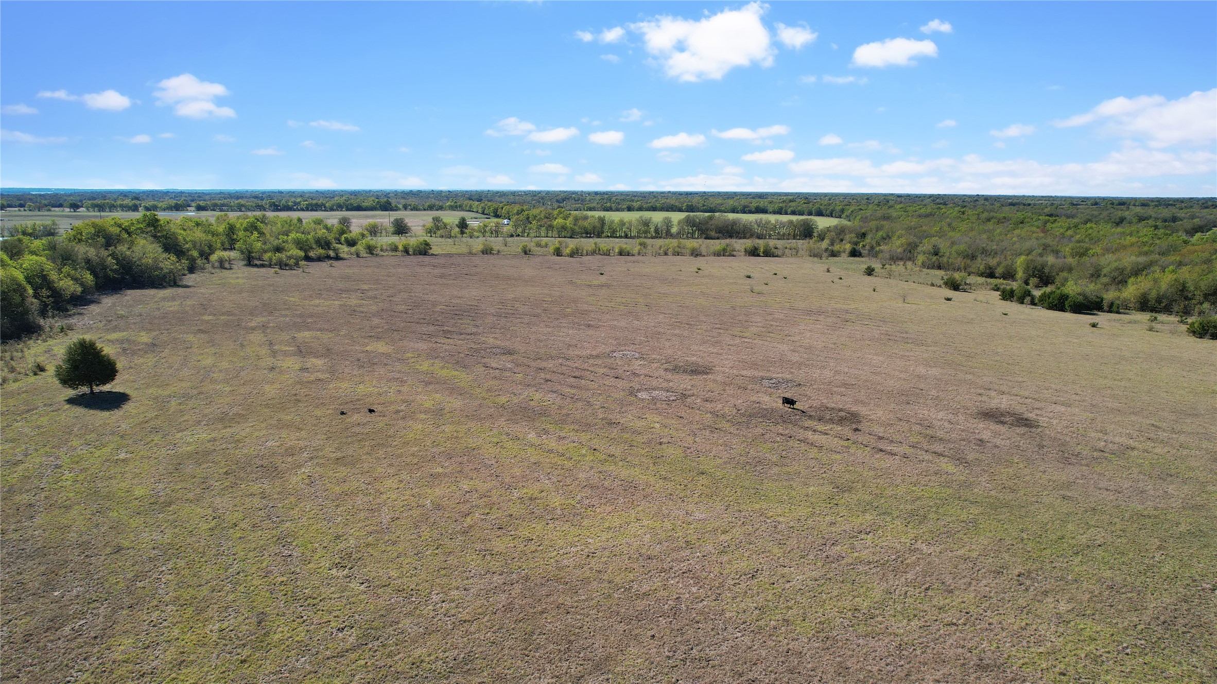 0 County Road 2125 Cooper TX 75432