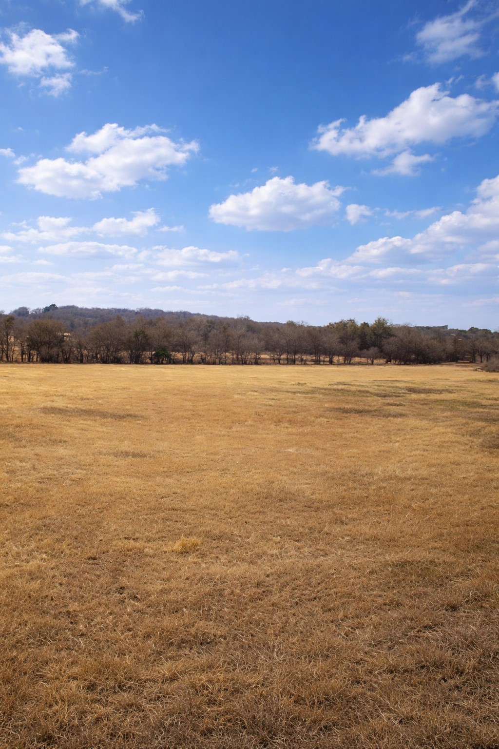 Lot 3 408 County Road 909 Joshua TX 76058