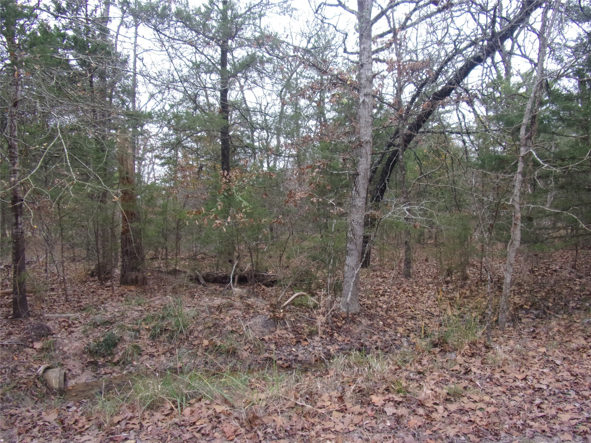 000 Hideaway Murchison TX 75778