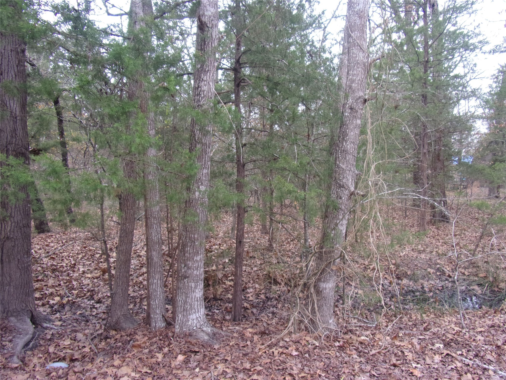 000 Hideaway Murchison TX 75778