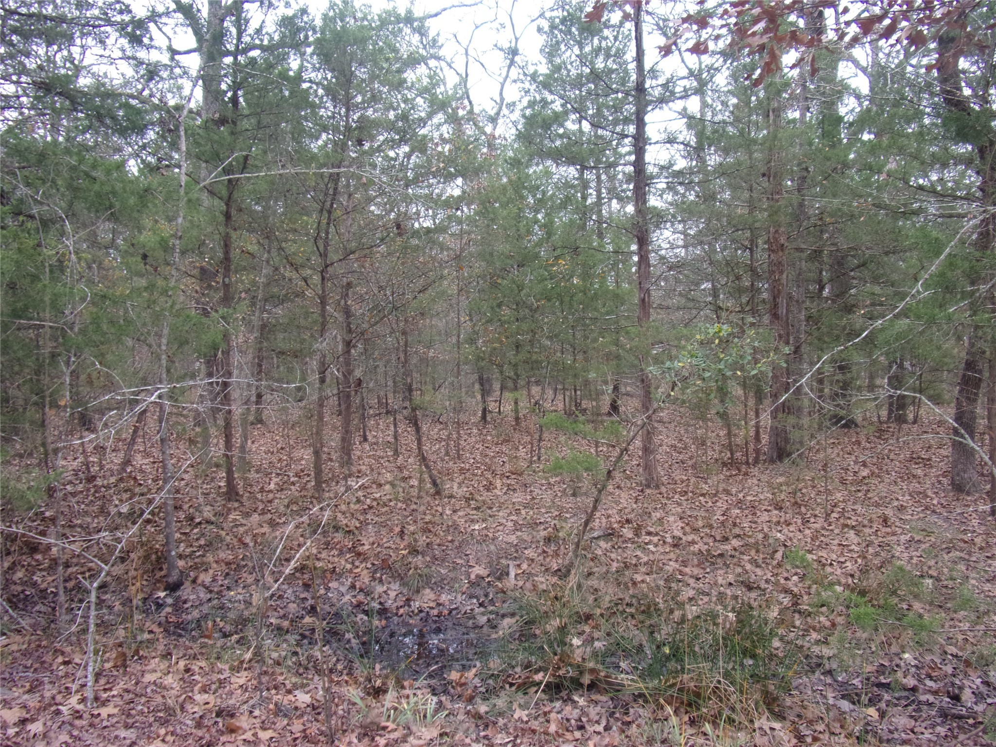 000 Hideaway Murchison TX 75778
