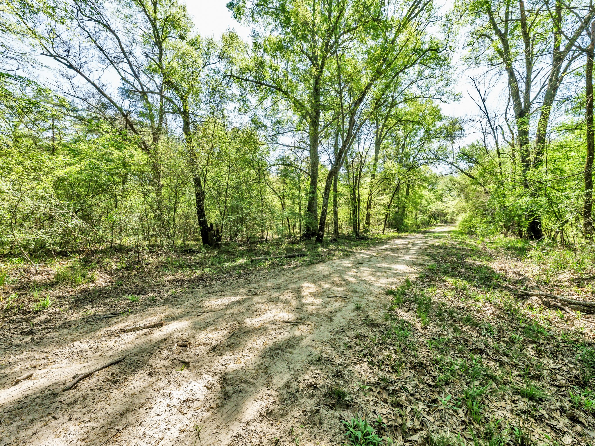 0 County Road 3306 Greenville TX 75401