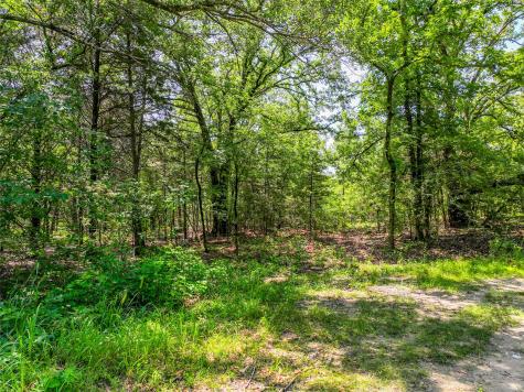 0 County Road 3306 Greenville TX 75401