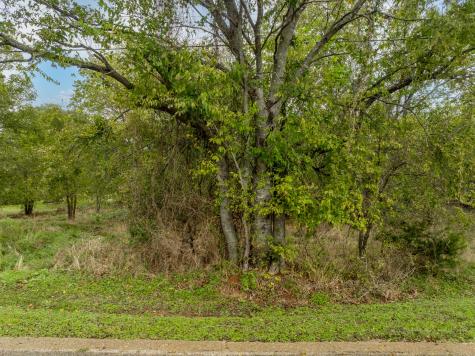 27070 Stonewood Drive Whitney TX 76692