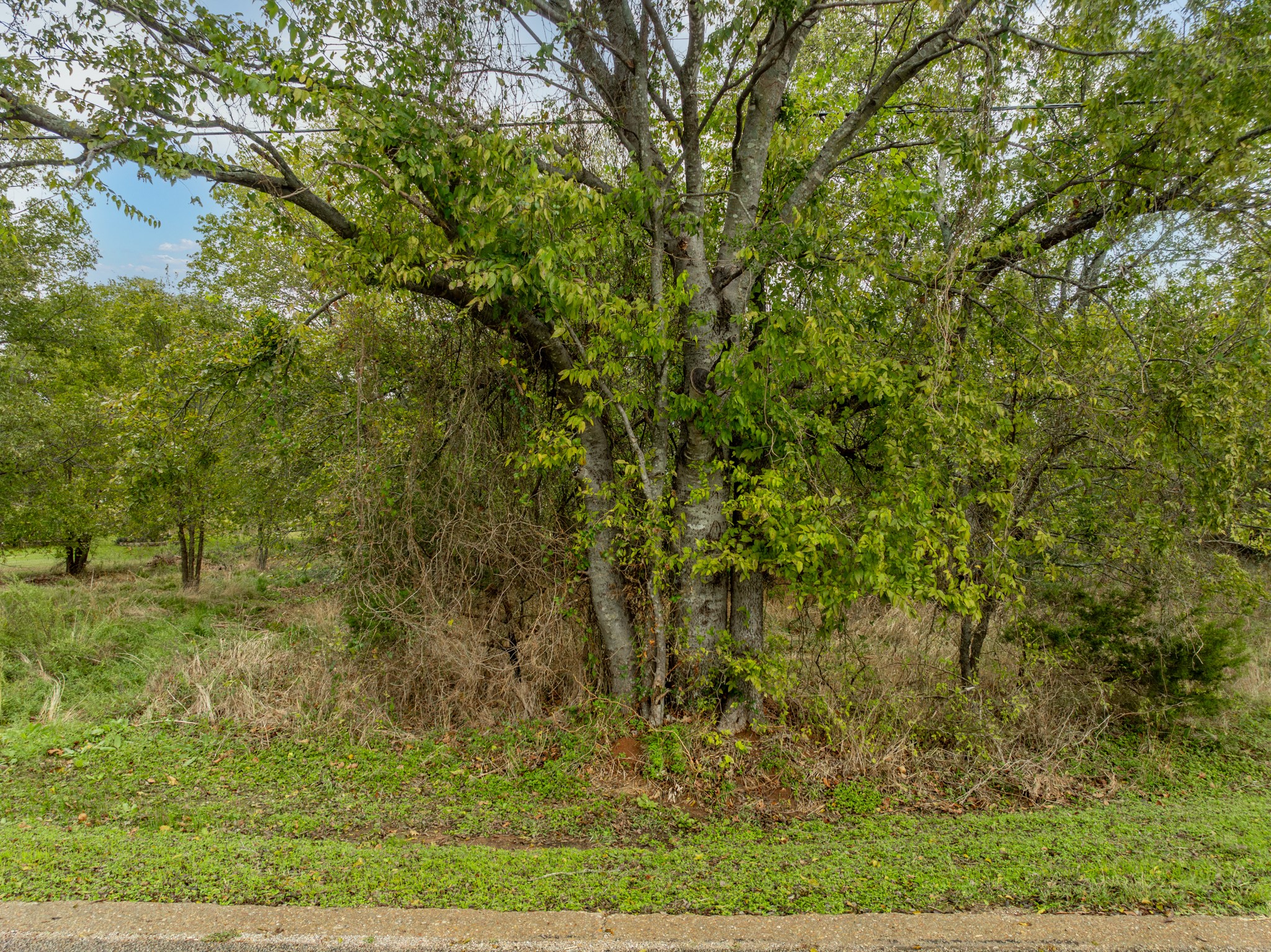 27070 Stonewood Drive Whitney TX 76692