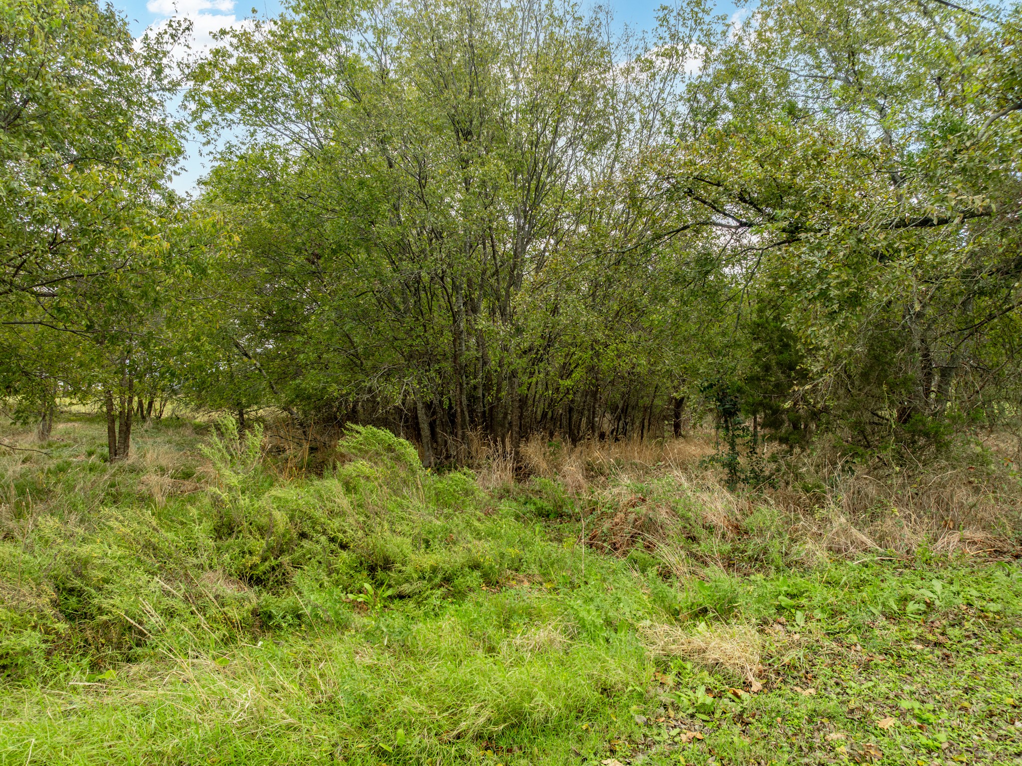 27070 Stonewood Drive Whitney TX 76692