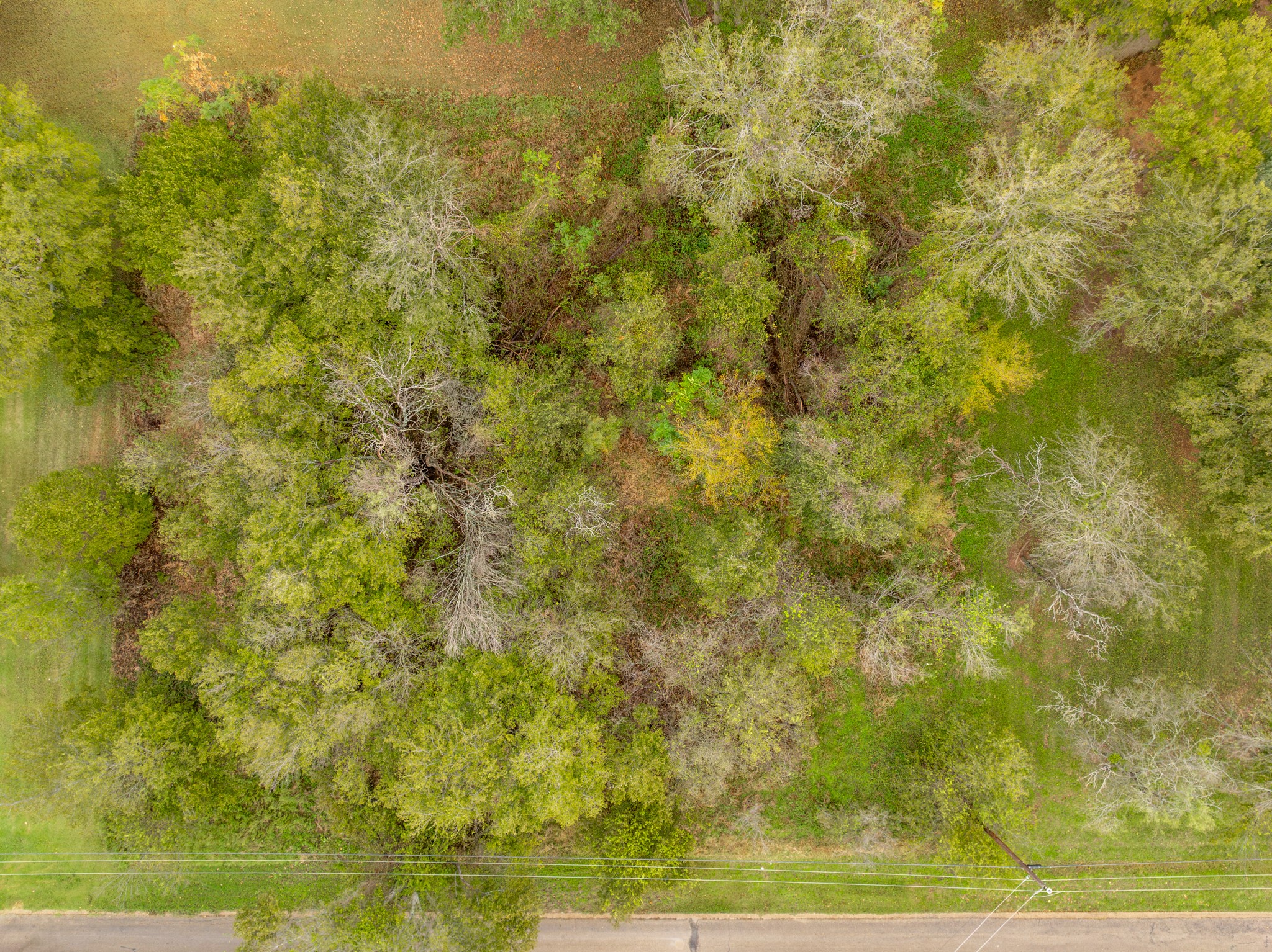 27070 Stonewood Drive Whitney TX 76692