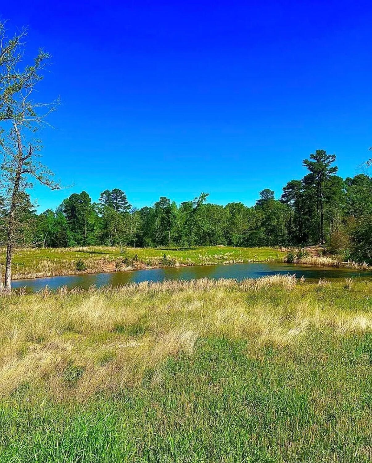 868 County Road 2920 Alba TX 75410