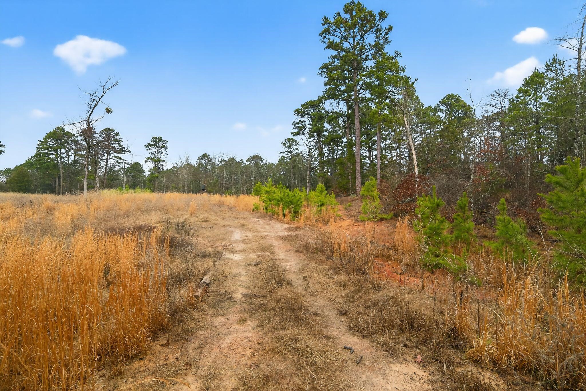 868 County Road 2920 Alba TX 75410