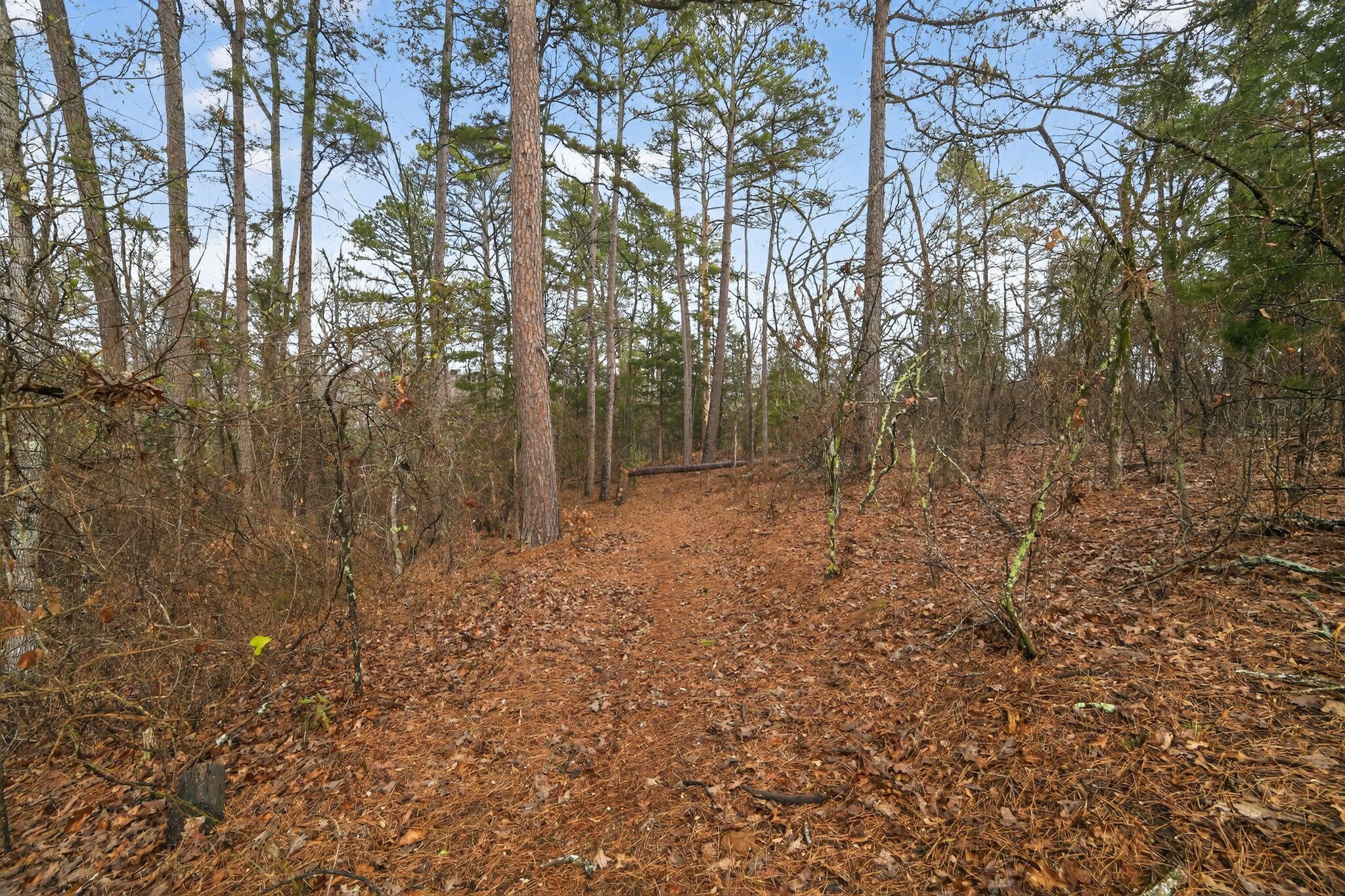 868 County Road 2920 Alba TX 75410