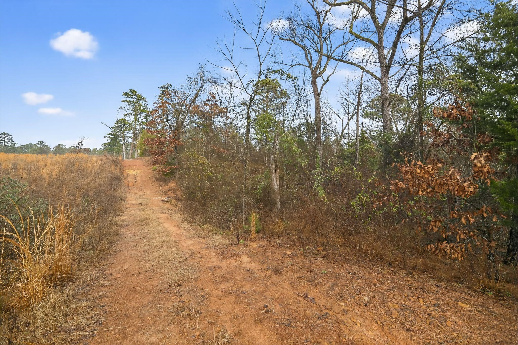 868 County Road 2920 Alba TX 75410
