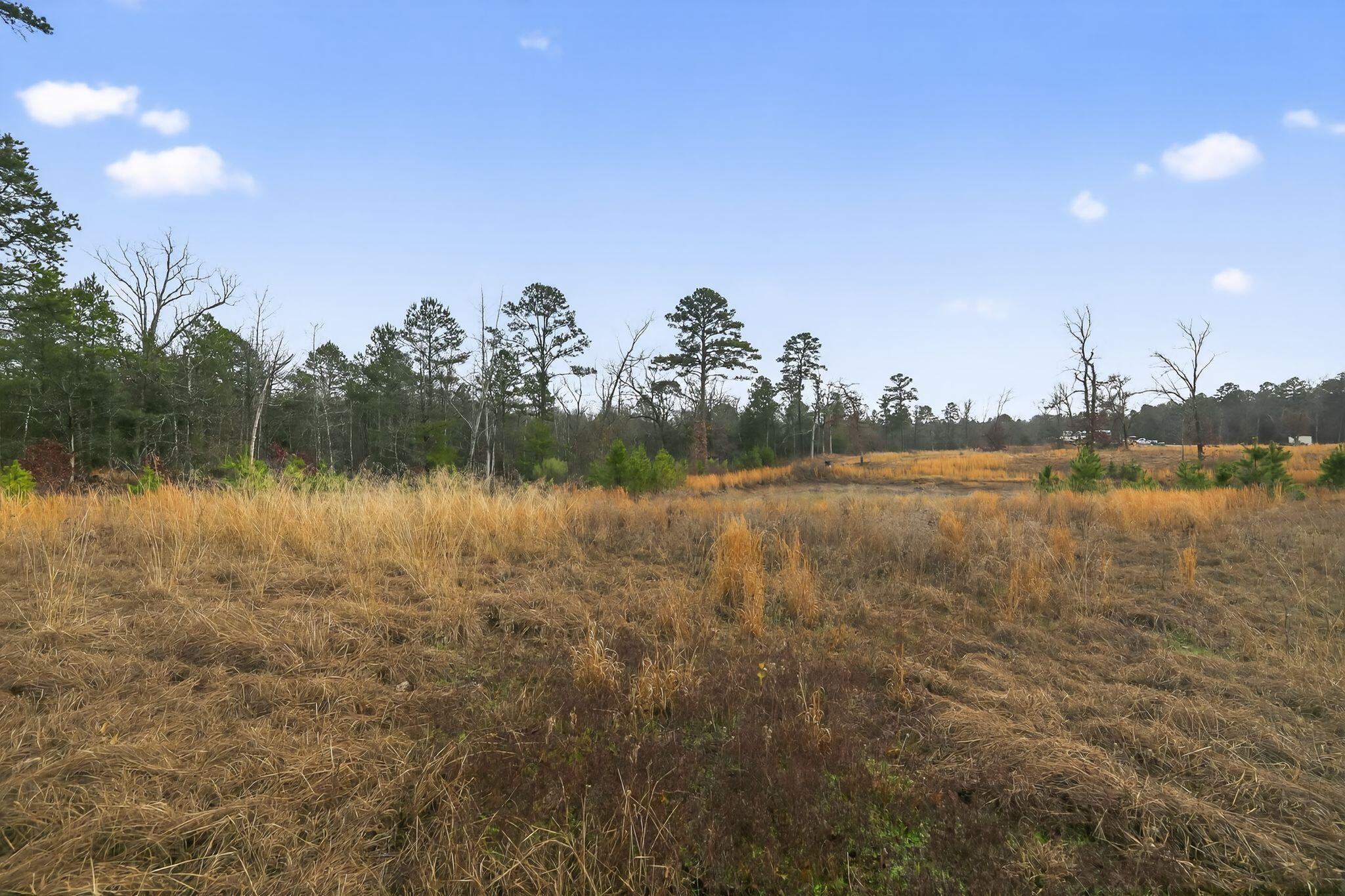 868 County Road 2920 Alba TX 75410
